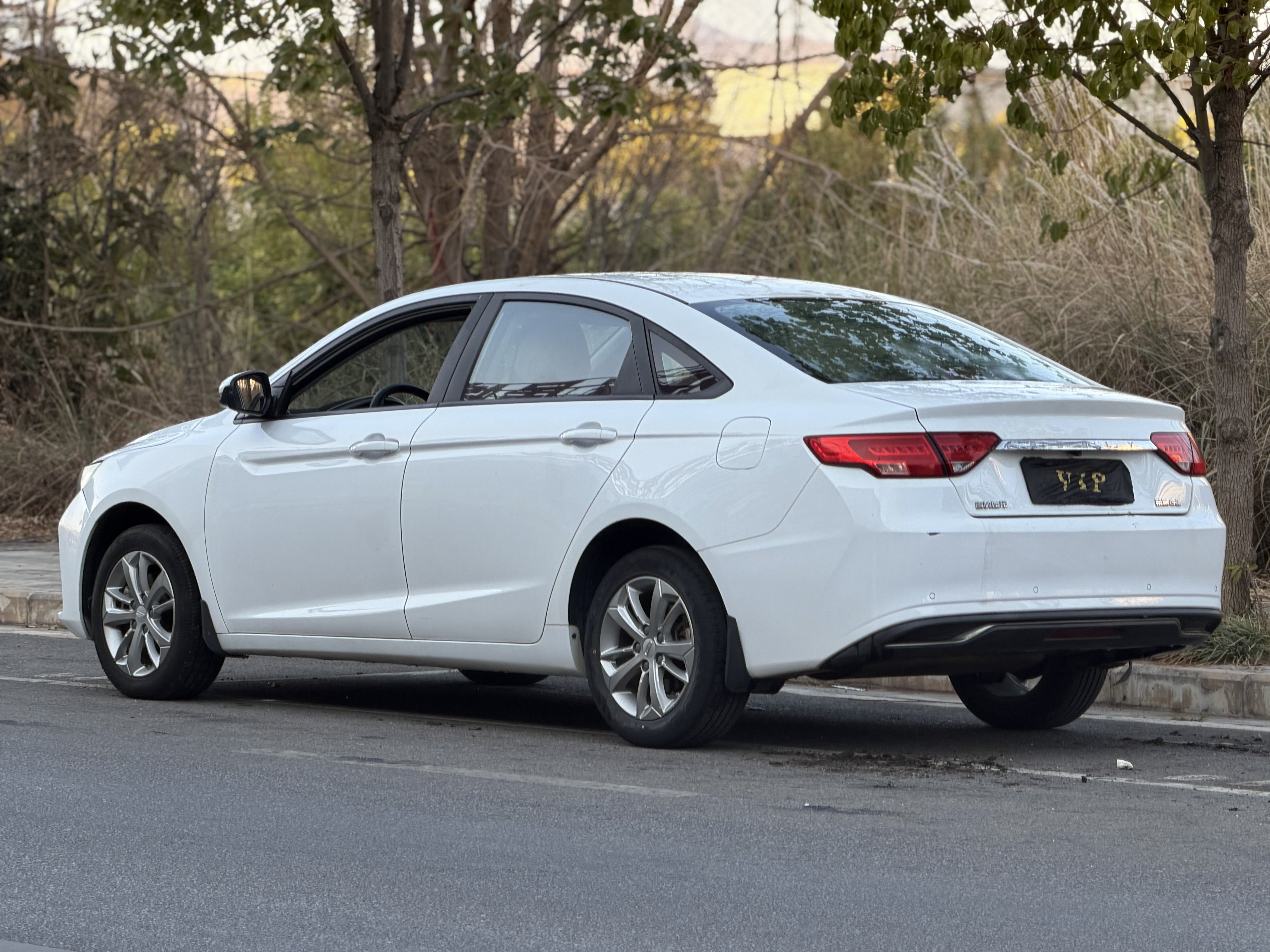 Emgrand GL 2020 #4 Emgrand GL 2020 car image #4