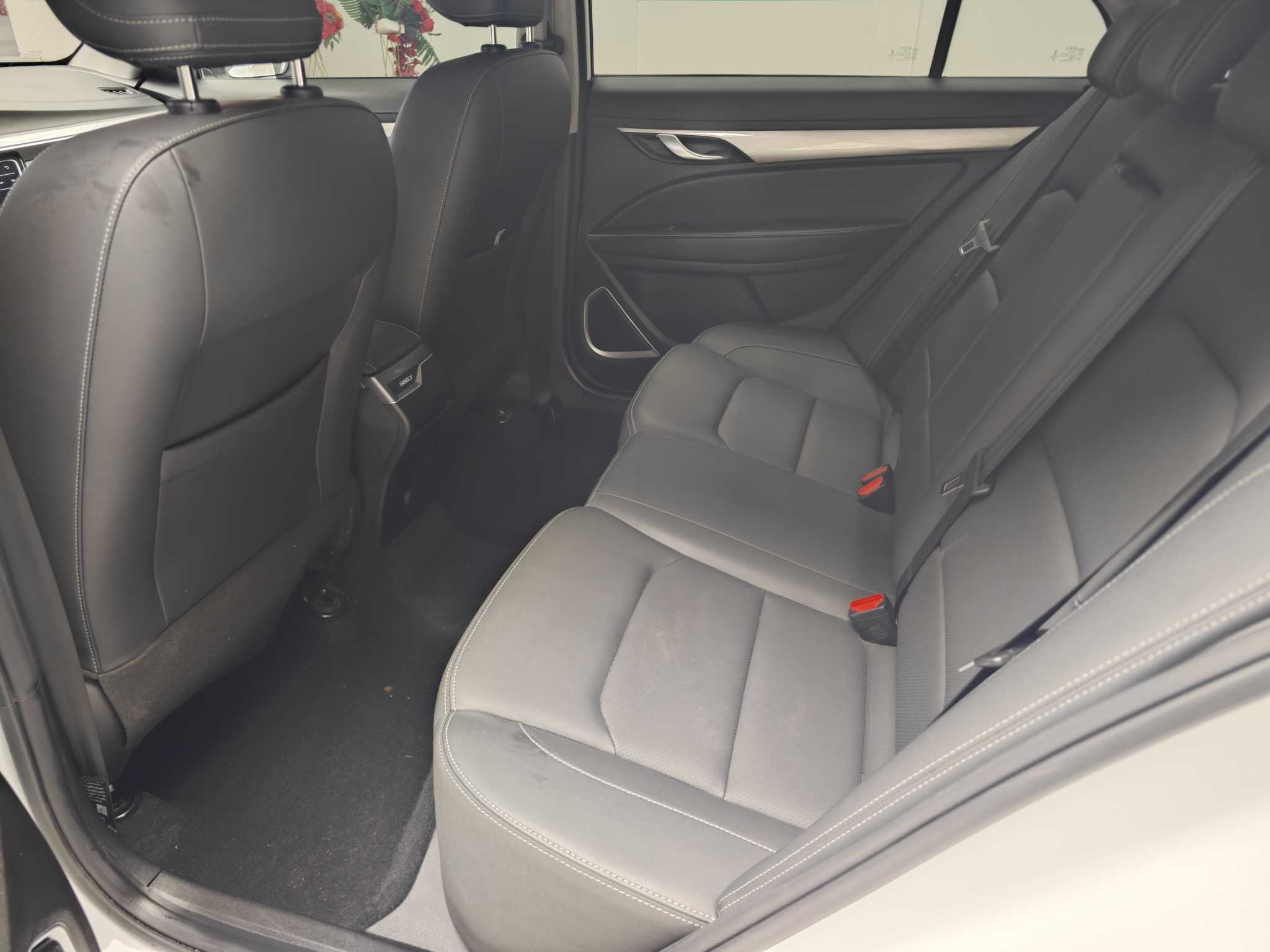 Emgrand 2020 car image #4