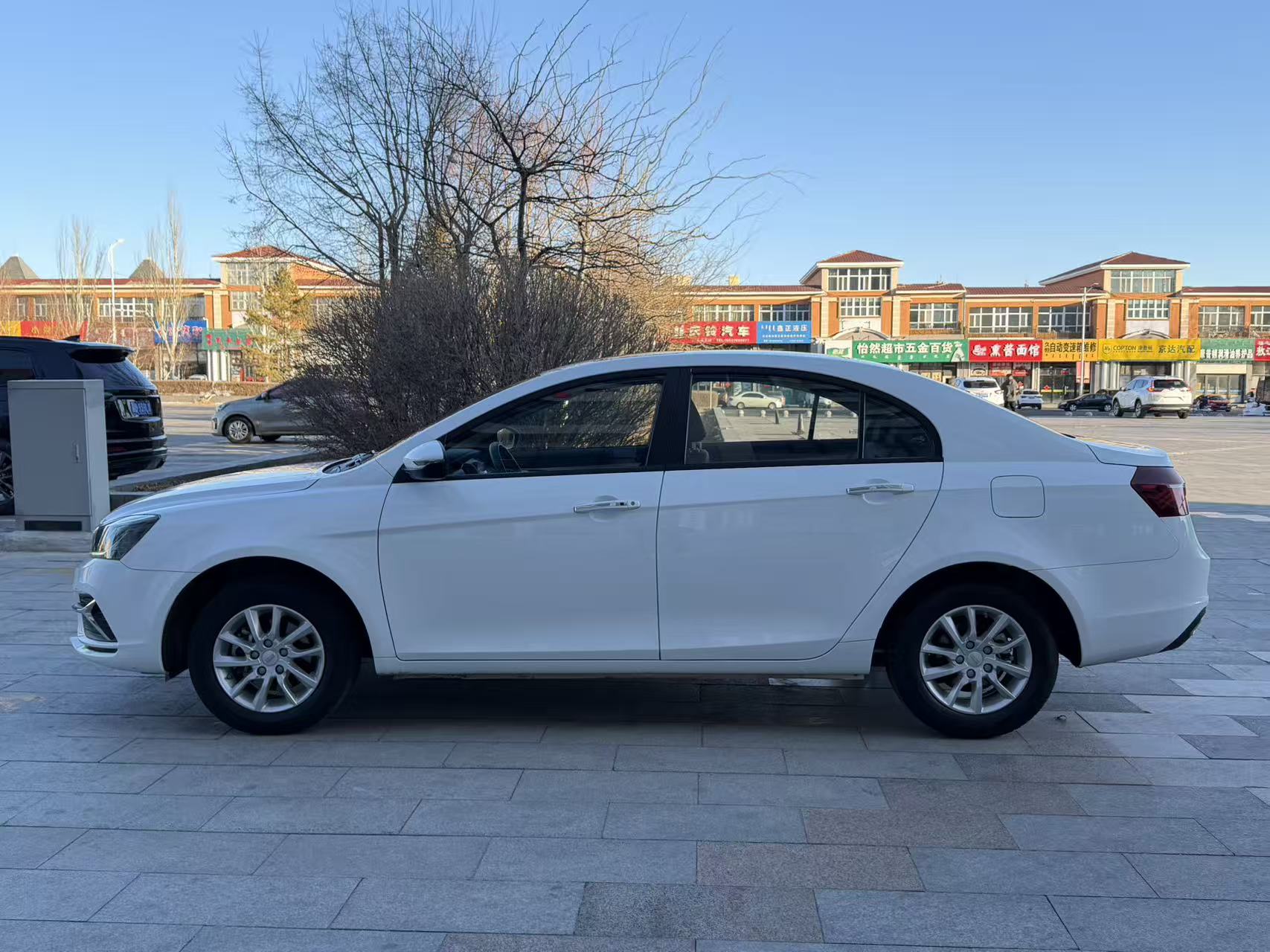 Emgrand 2020 #4 Emgrand 2020 car image #4