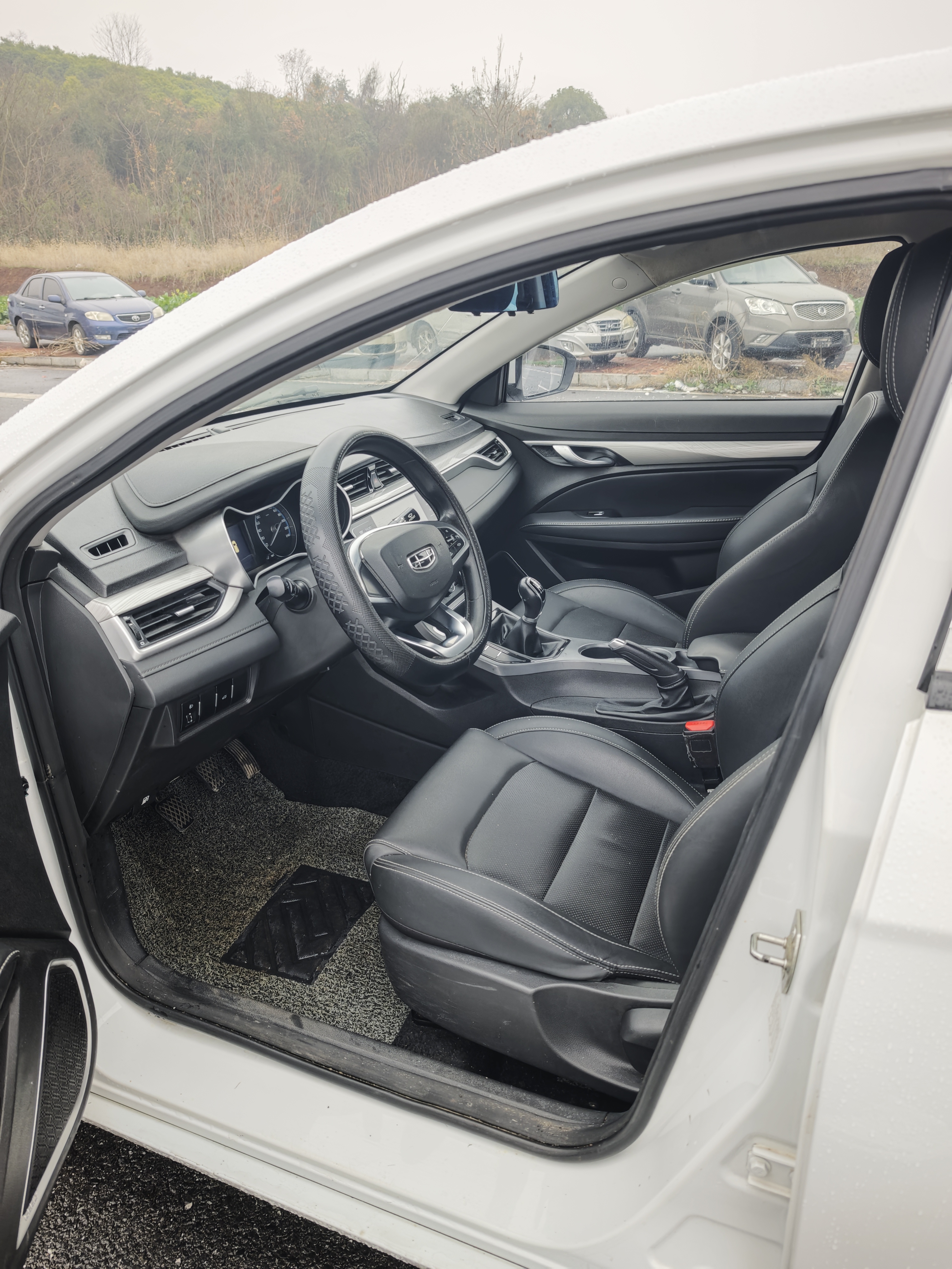 Emgrand 2020 #4 Emgrand 2020 car image #4