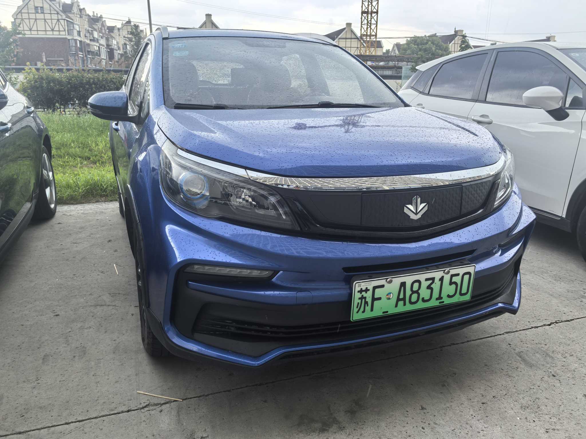 睿蓝汽车 枫叶30X 2020 汽车图片 #4