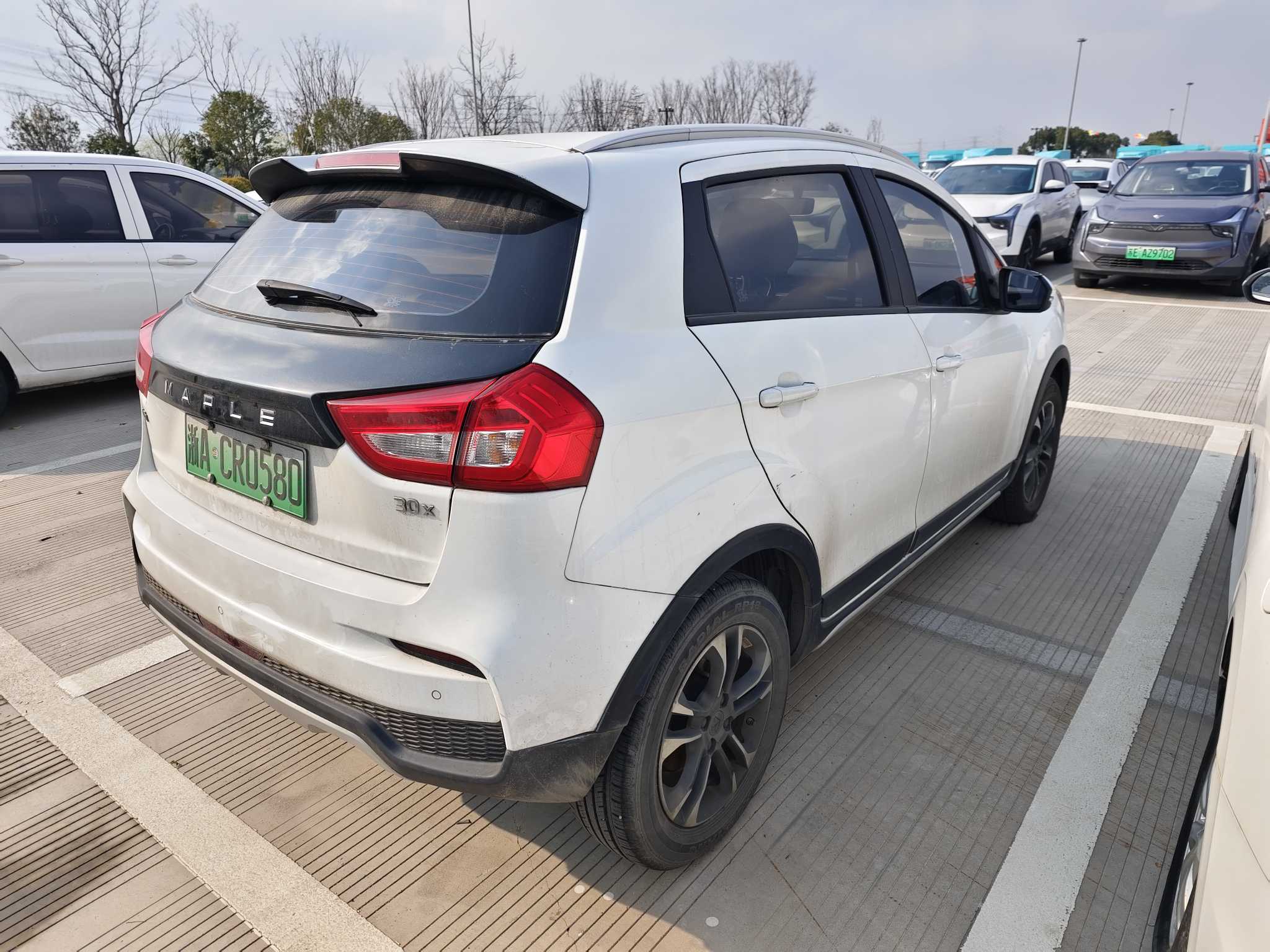 睿蓝汽车 枫叶30X 2021 汽车图片 #4