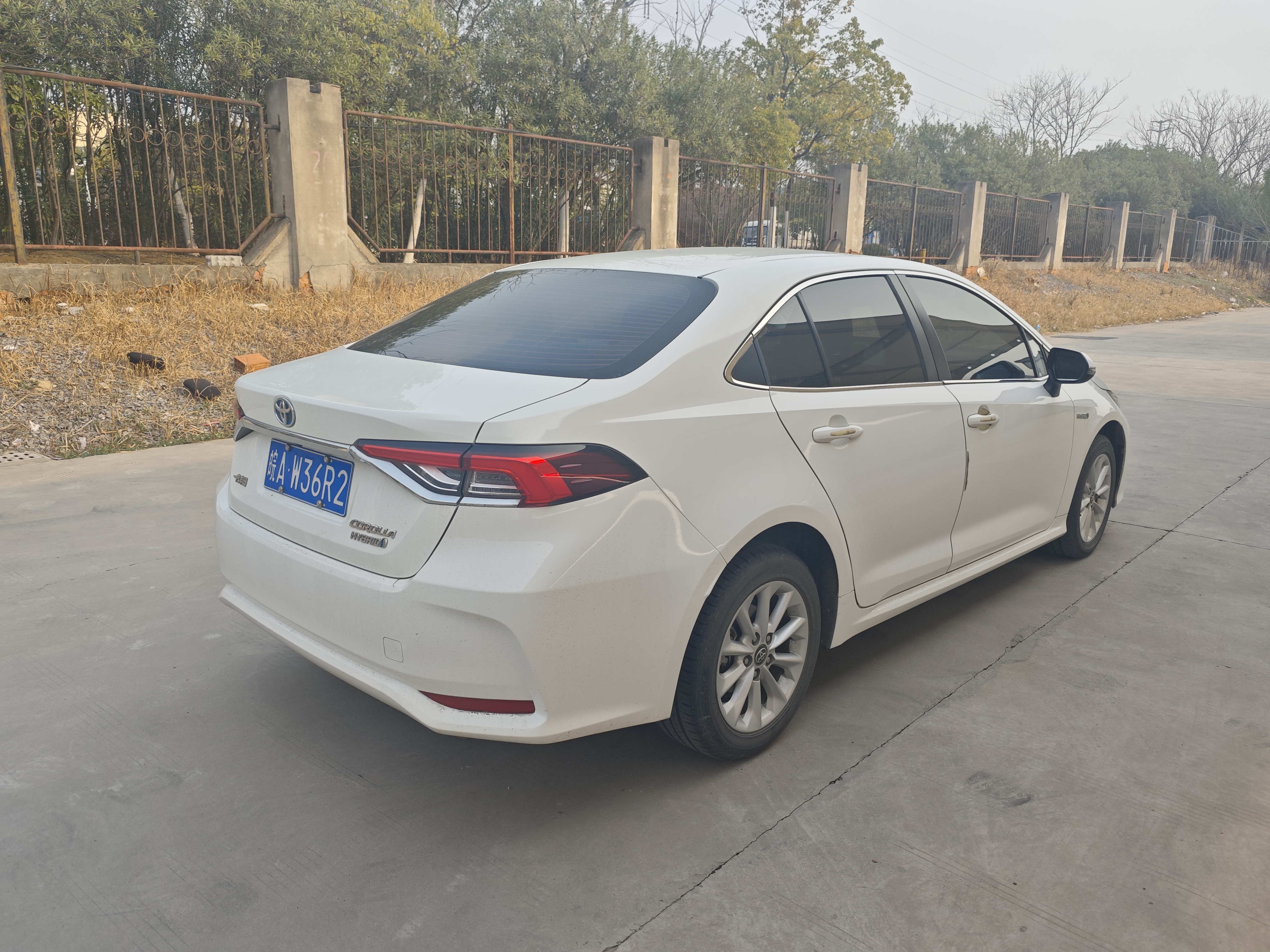 Corolla 2023 immagine di auto #4