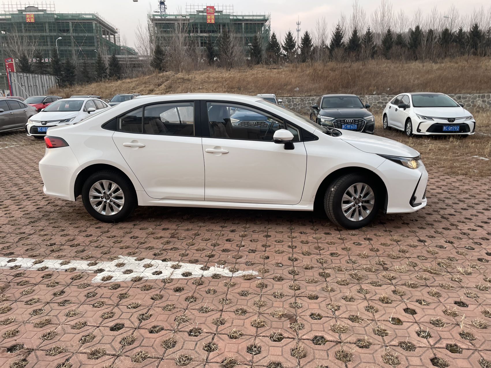 Corolla 2022 car image #4