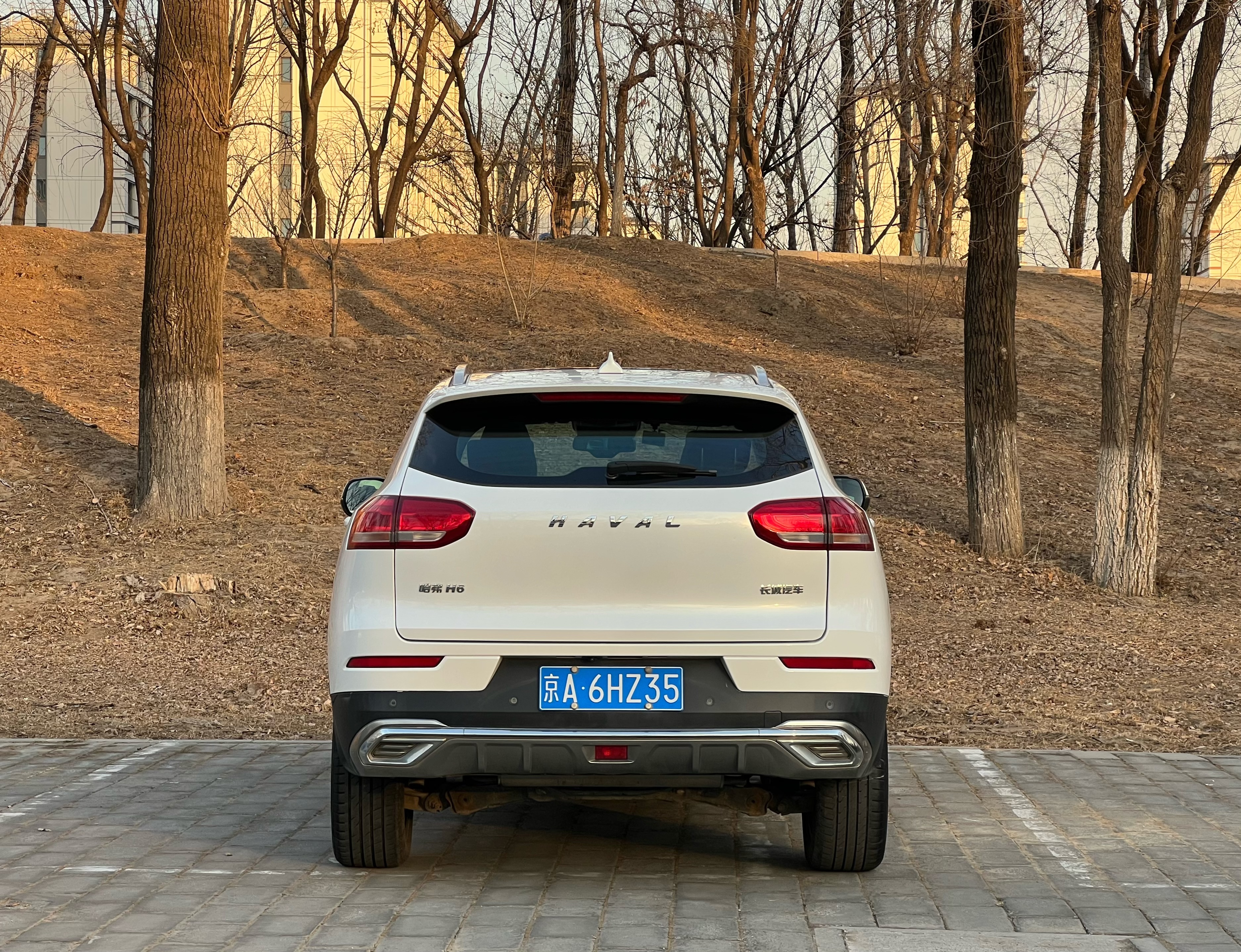 Haval H6 2020 car image #4