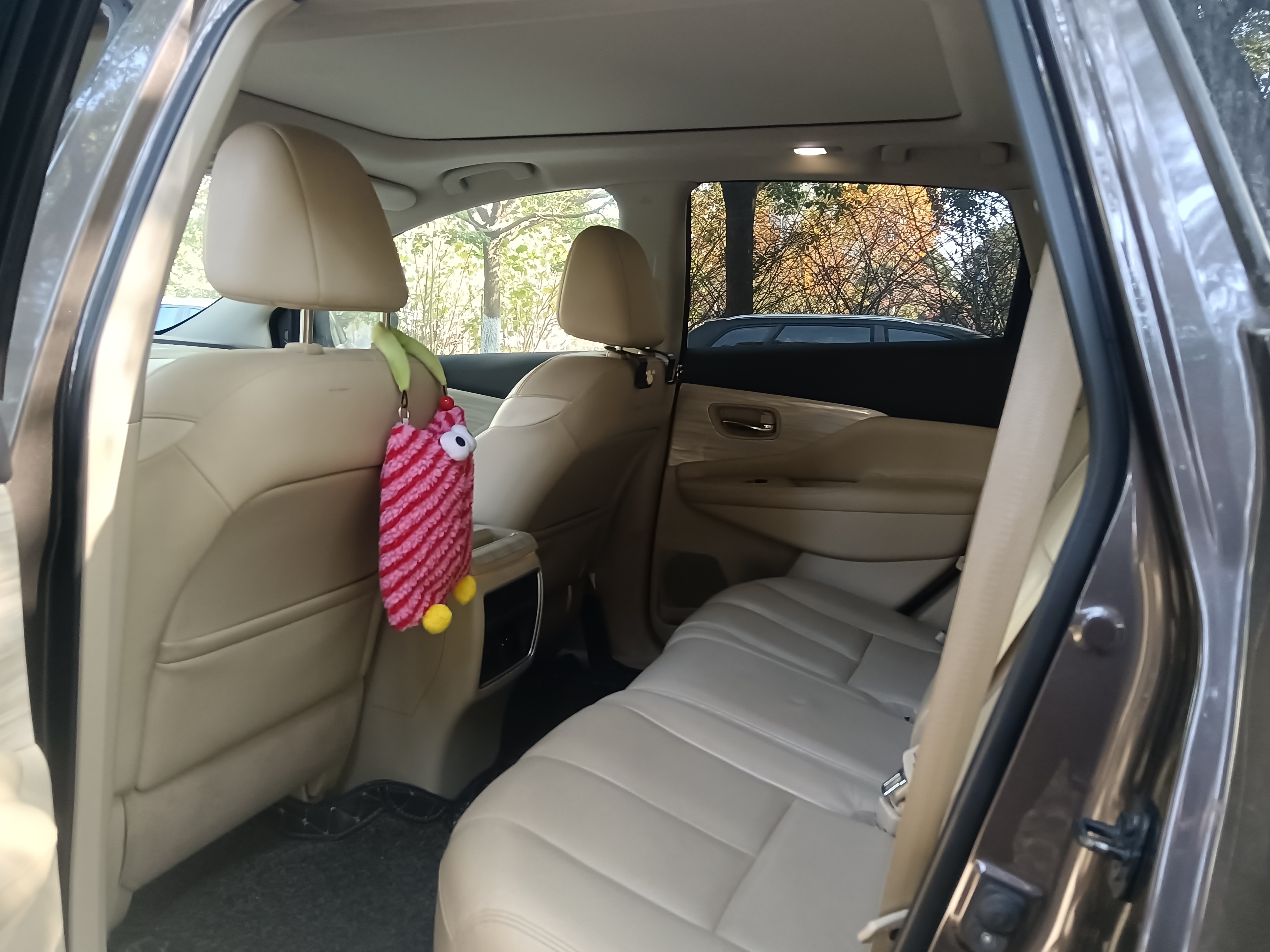 日产 楼兰 2021 汽车图片 #4