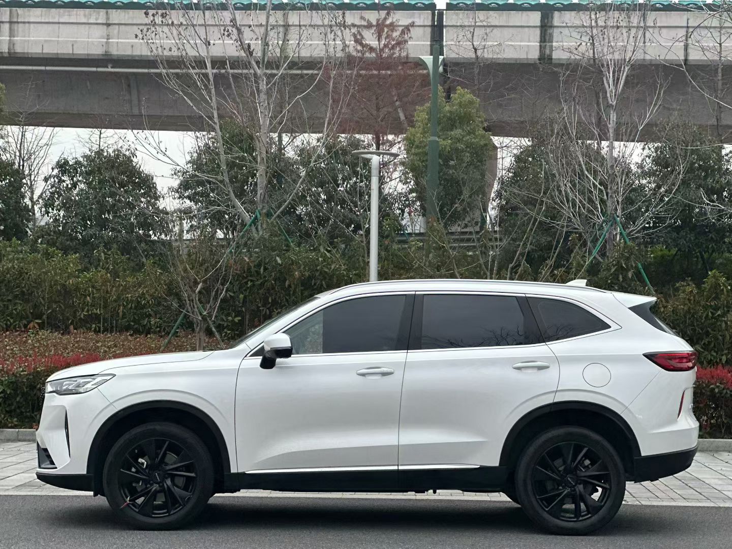 Haval H6 2022 image de voiture #4