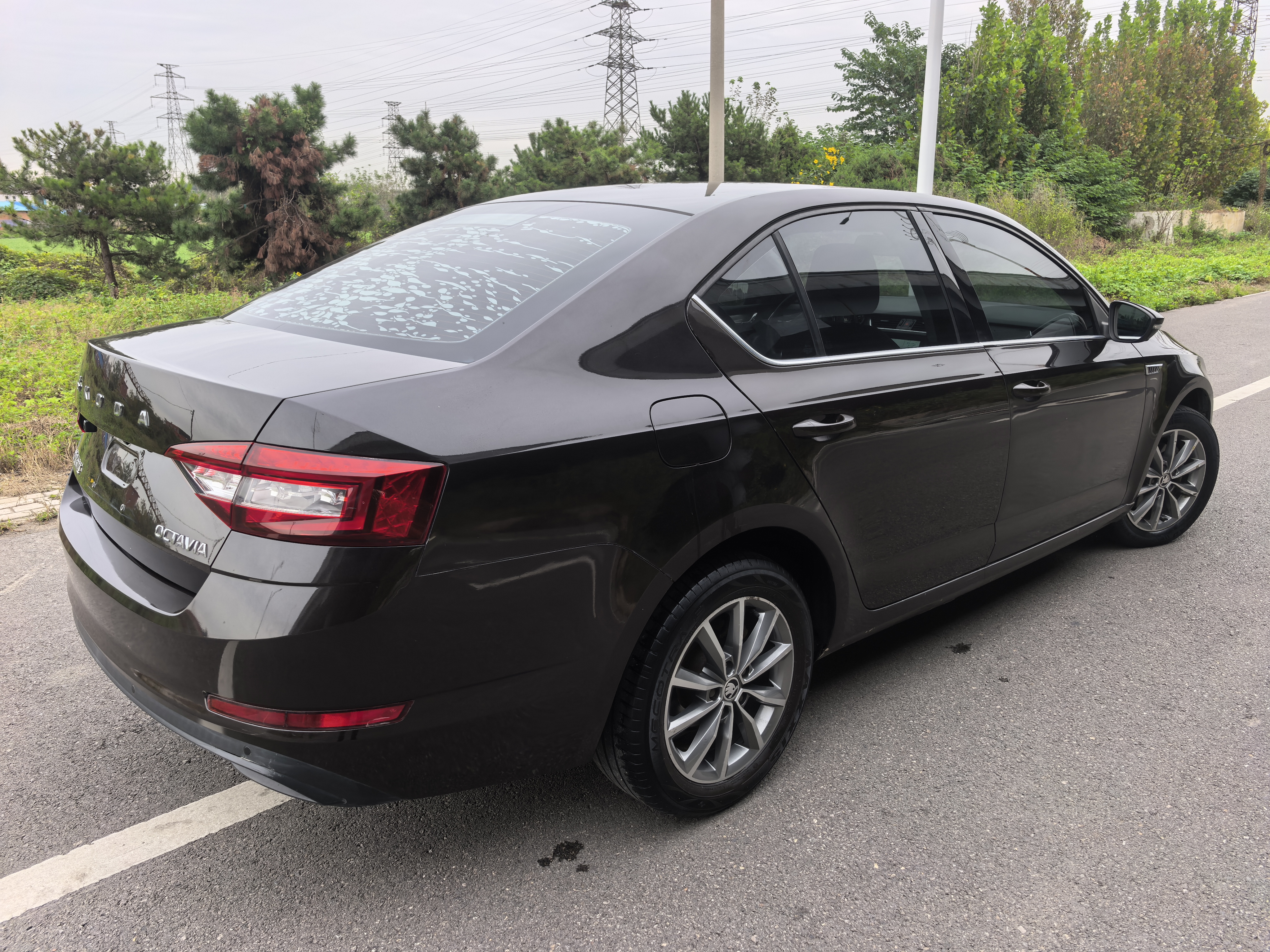 Skoda Octavia 2020 car image #4
