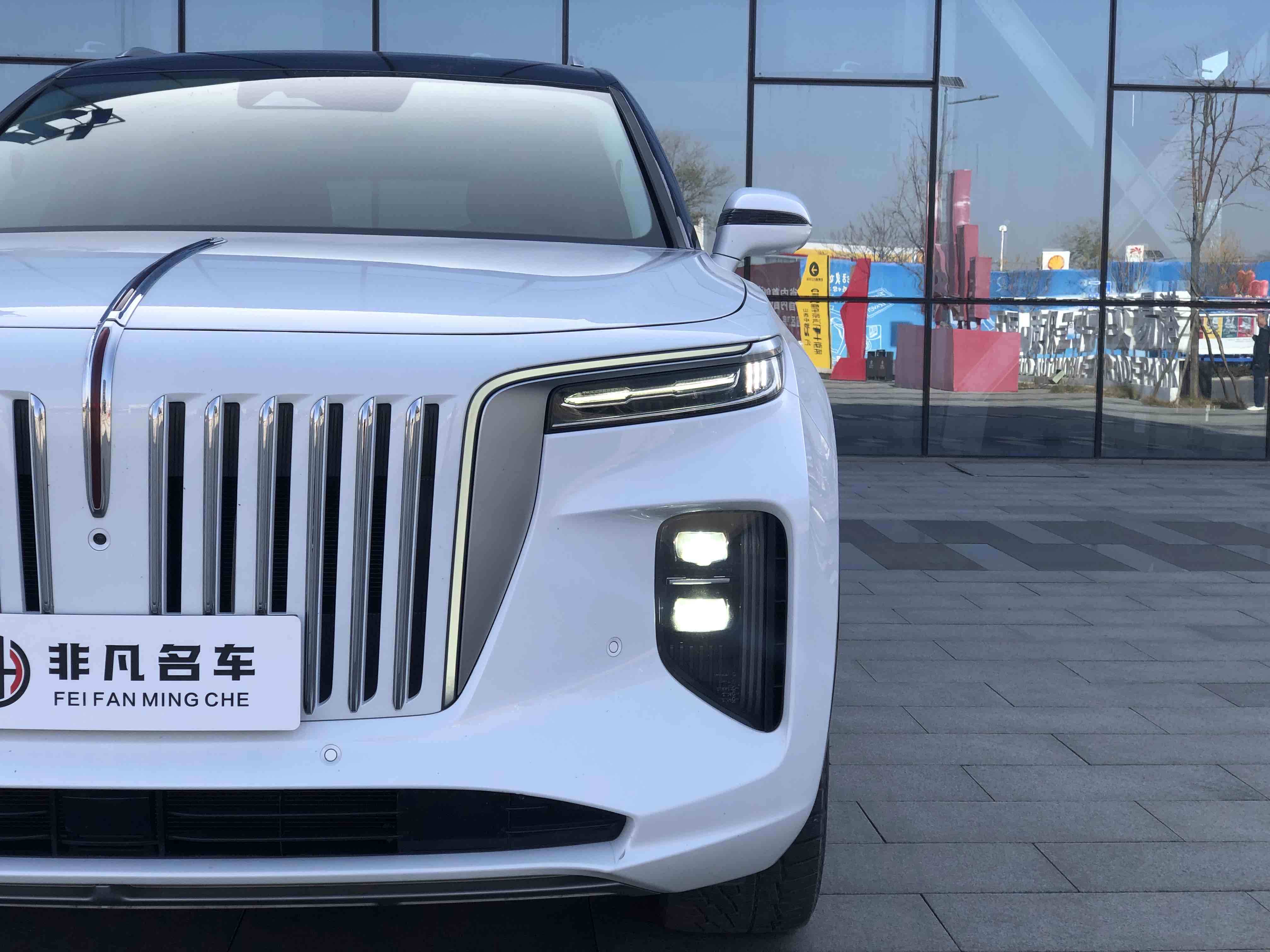 HongQi E-HS9 2021 image de voiture #4