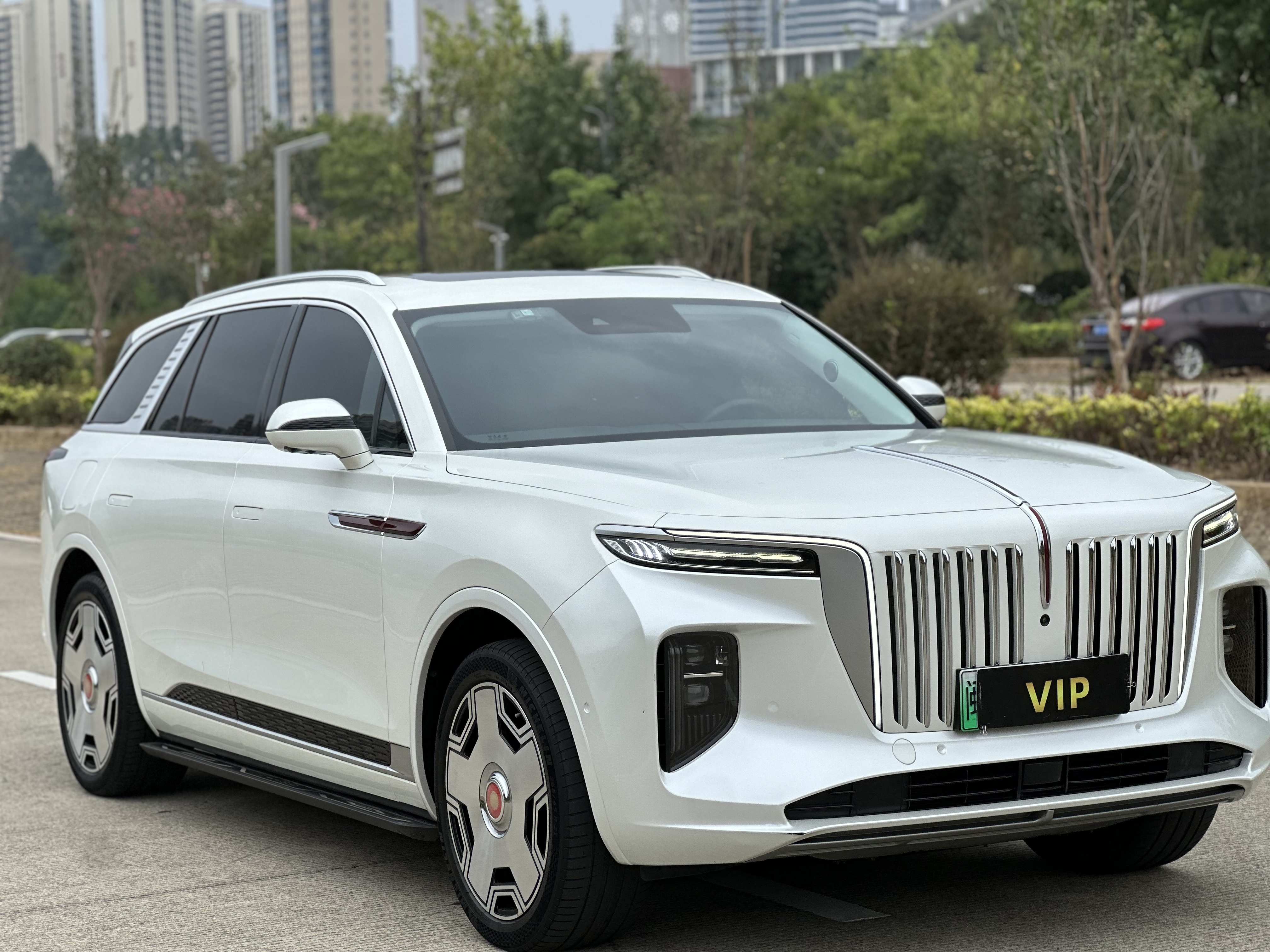 HongQi E-HS9 2021 #4 HongQi E-HS9 2021 immagine di auto #4