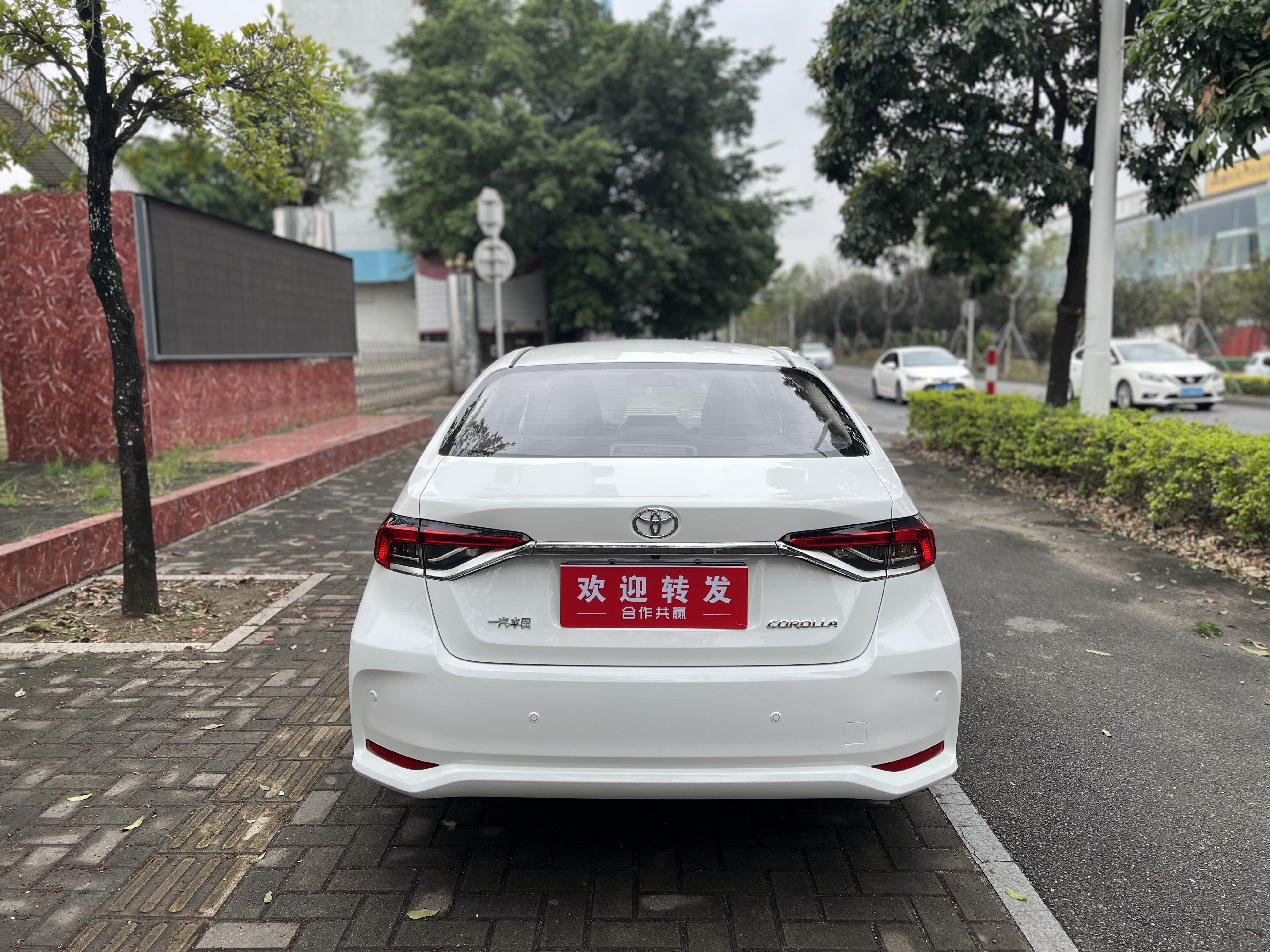 Corolla 2021 car image #4
