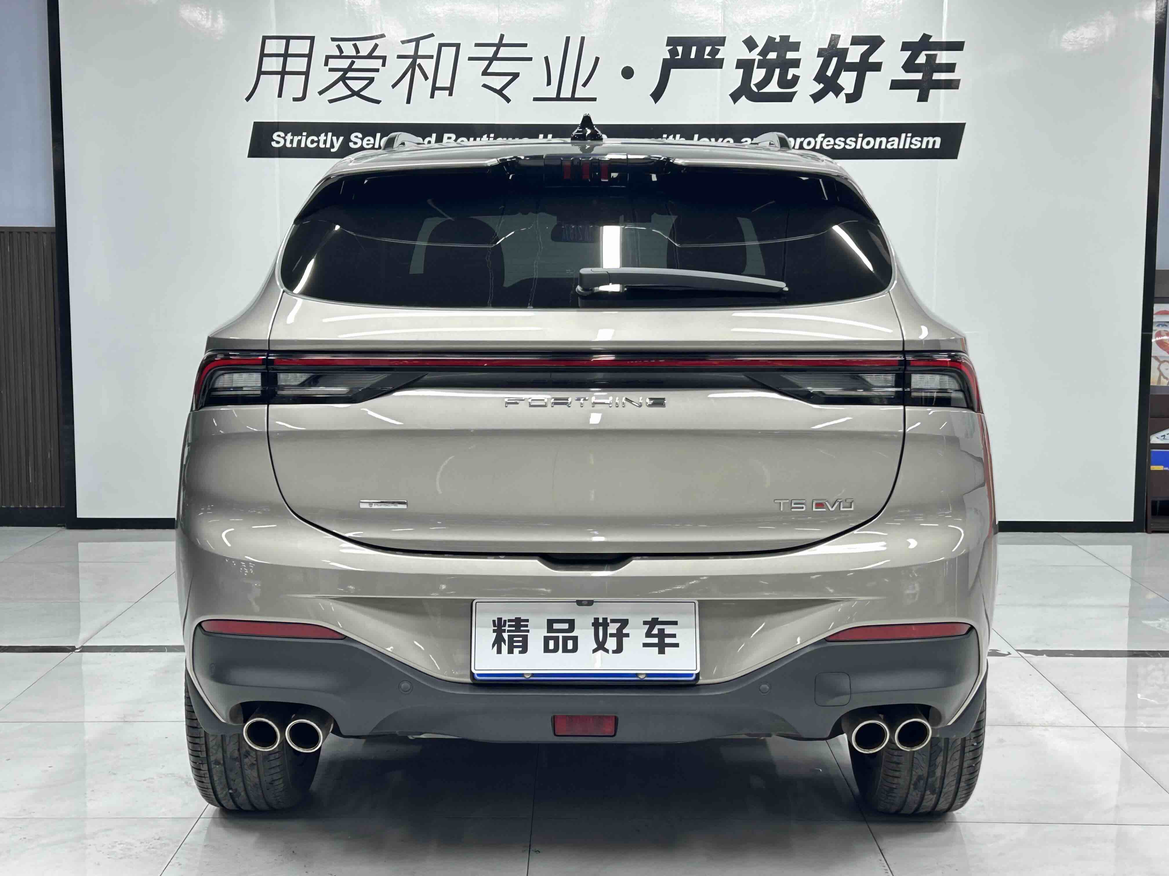 Forthing T5 EVO 2021 immagine di auto #4