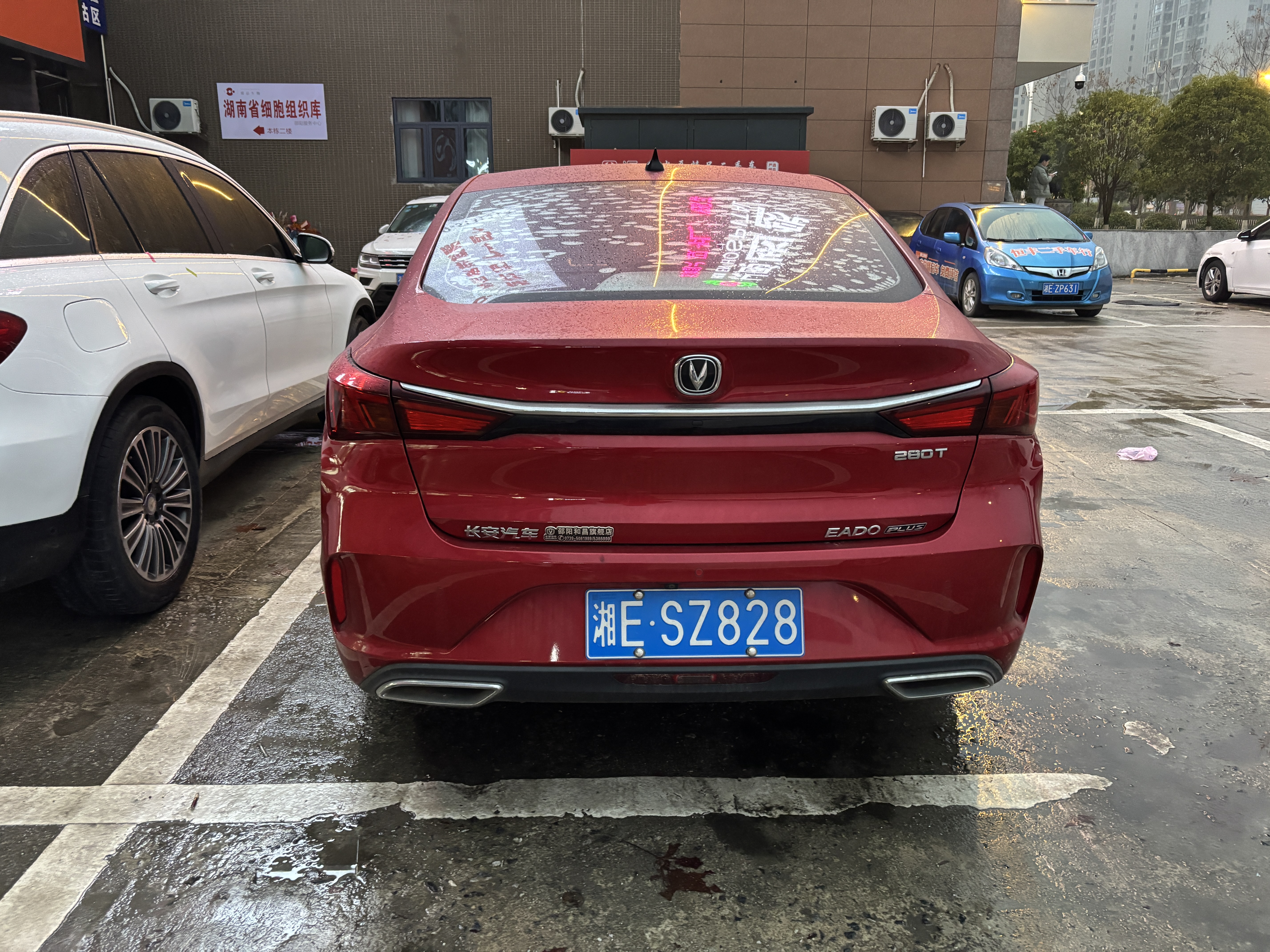 Changan Eado 2021 immagine di auto #4