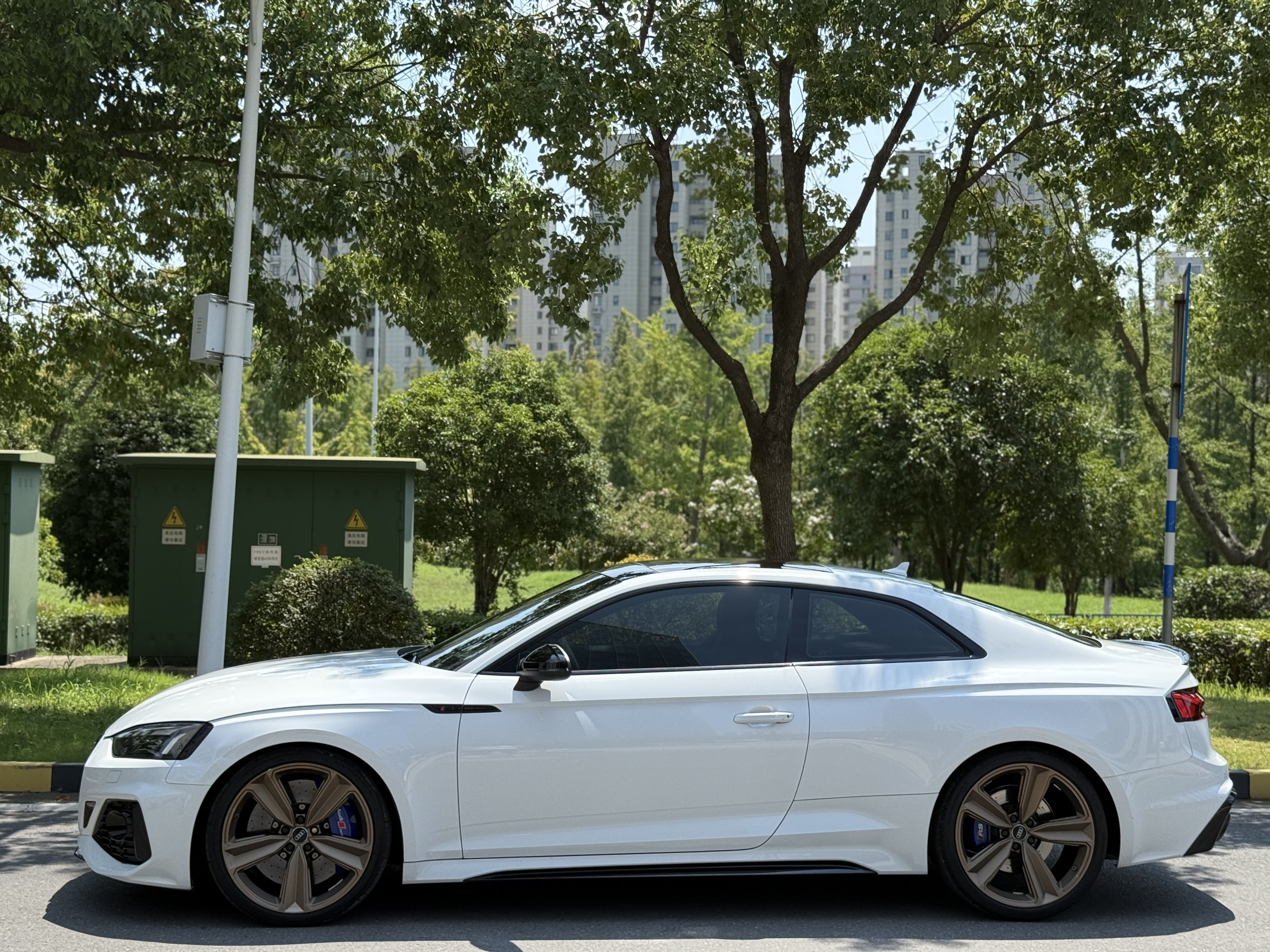 Audi RS 5 2020 car image #4