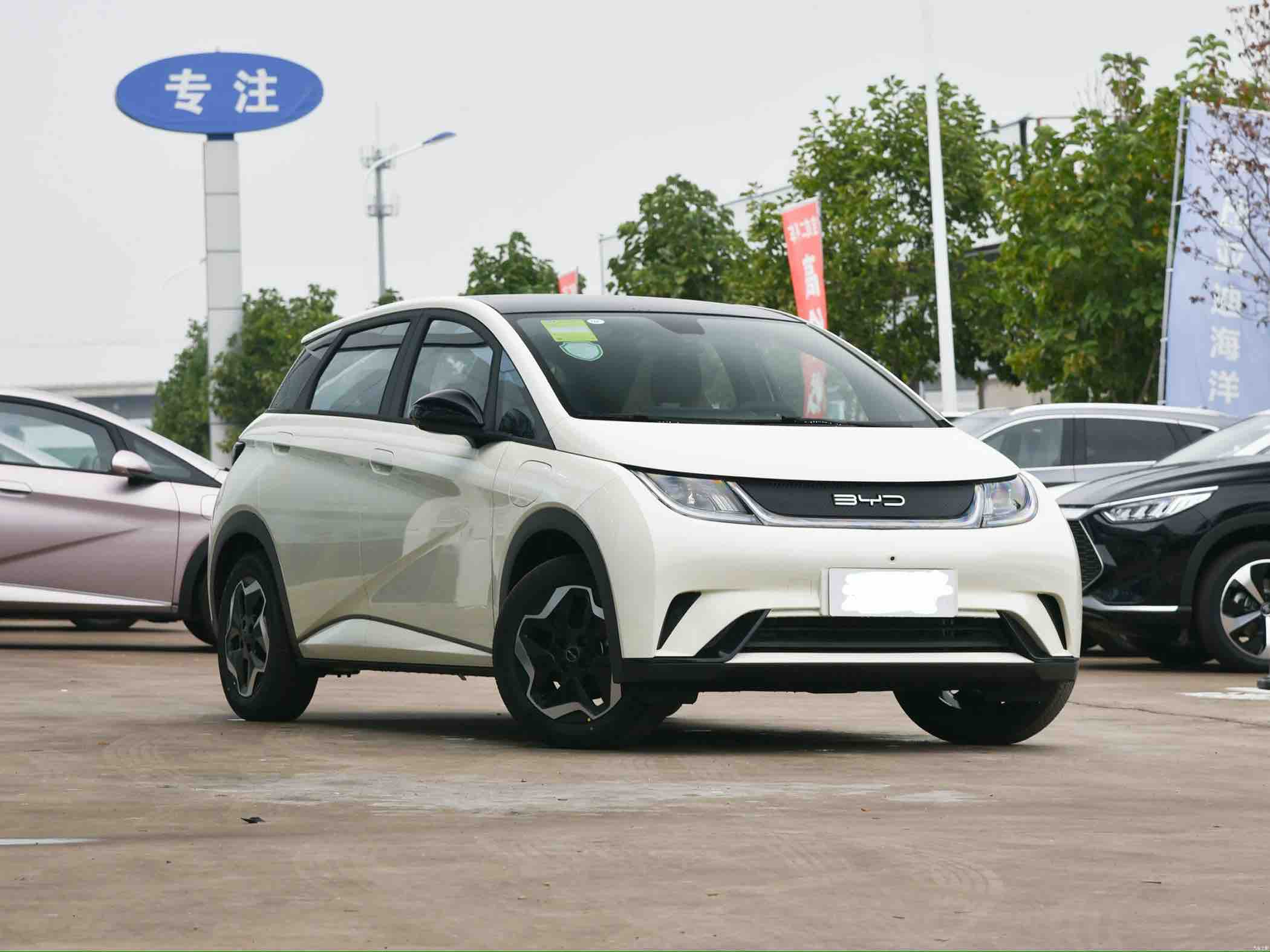 比亚迪 海豚 2023 汽车图片 #4