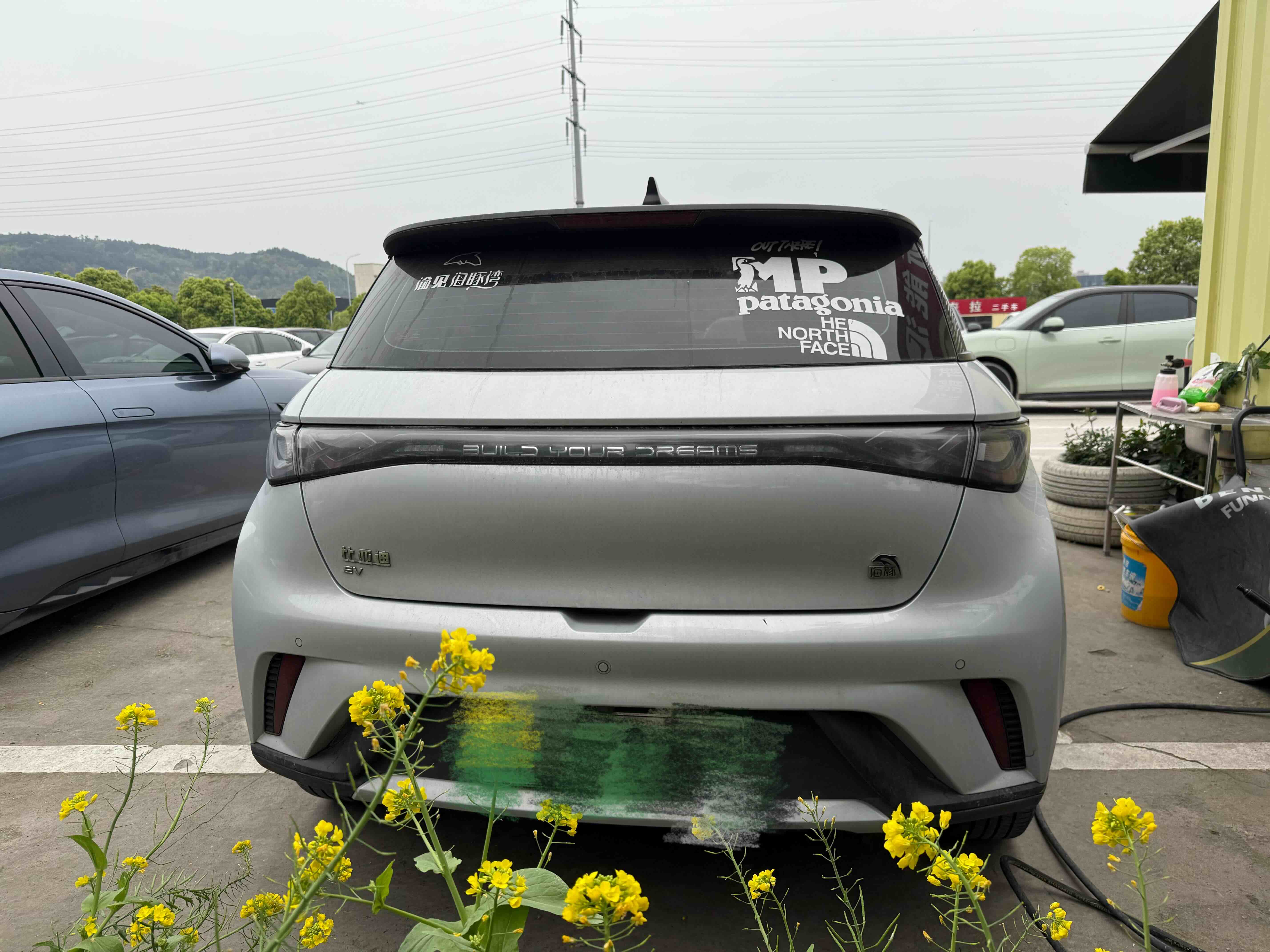 BYD Dolphin 2022 imagen de coche #4