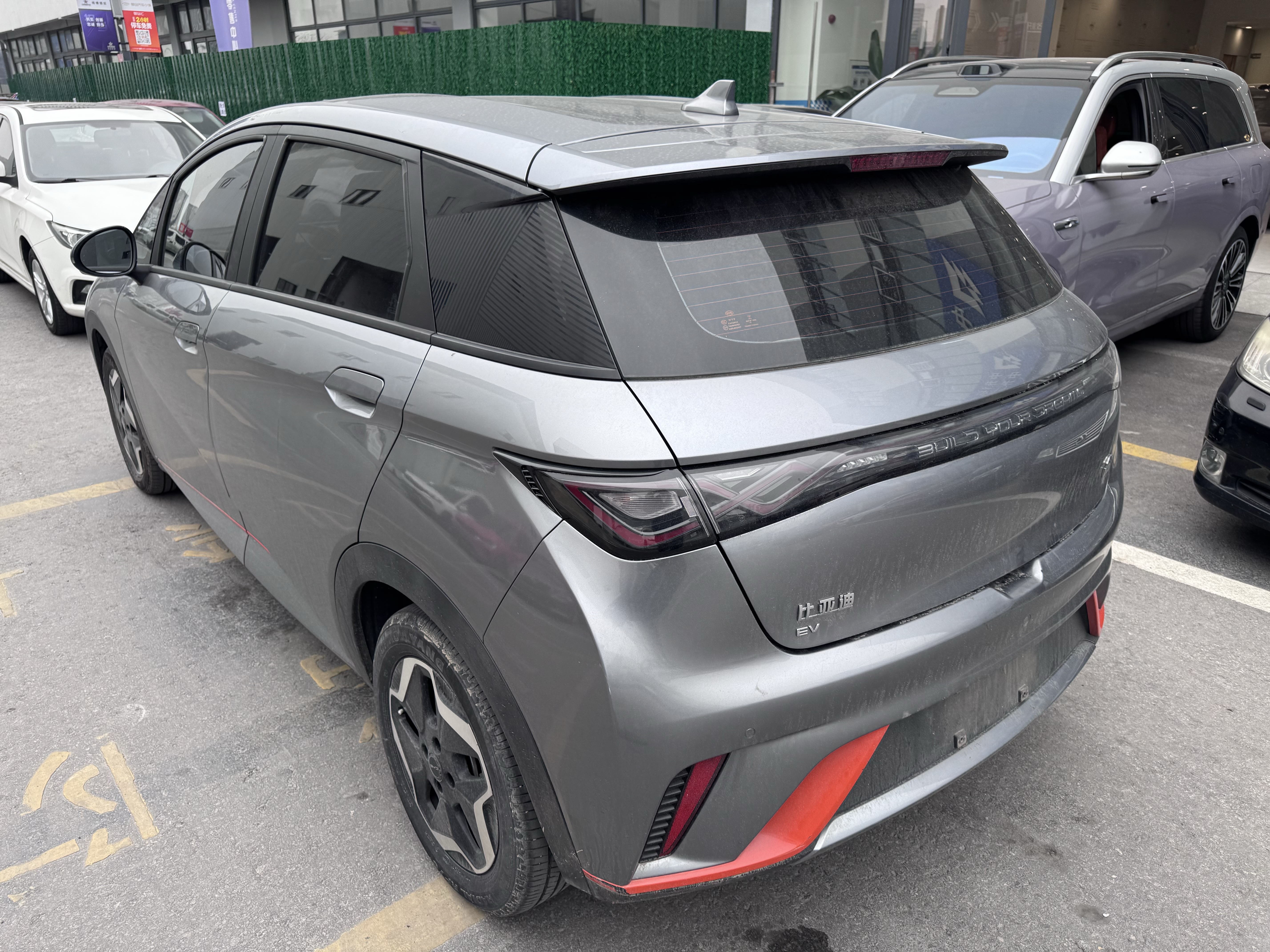 BYD Dolphin 2022 imagem de carro #4
