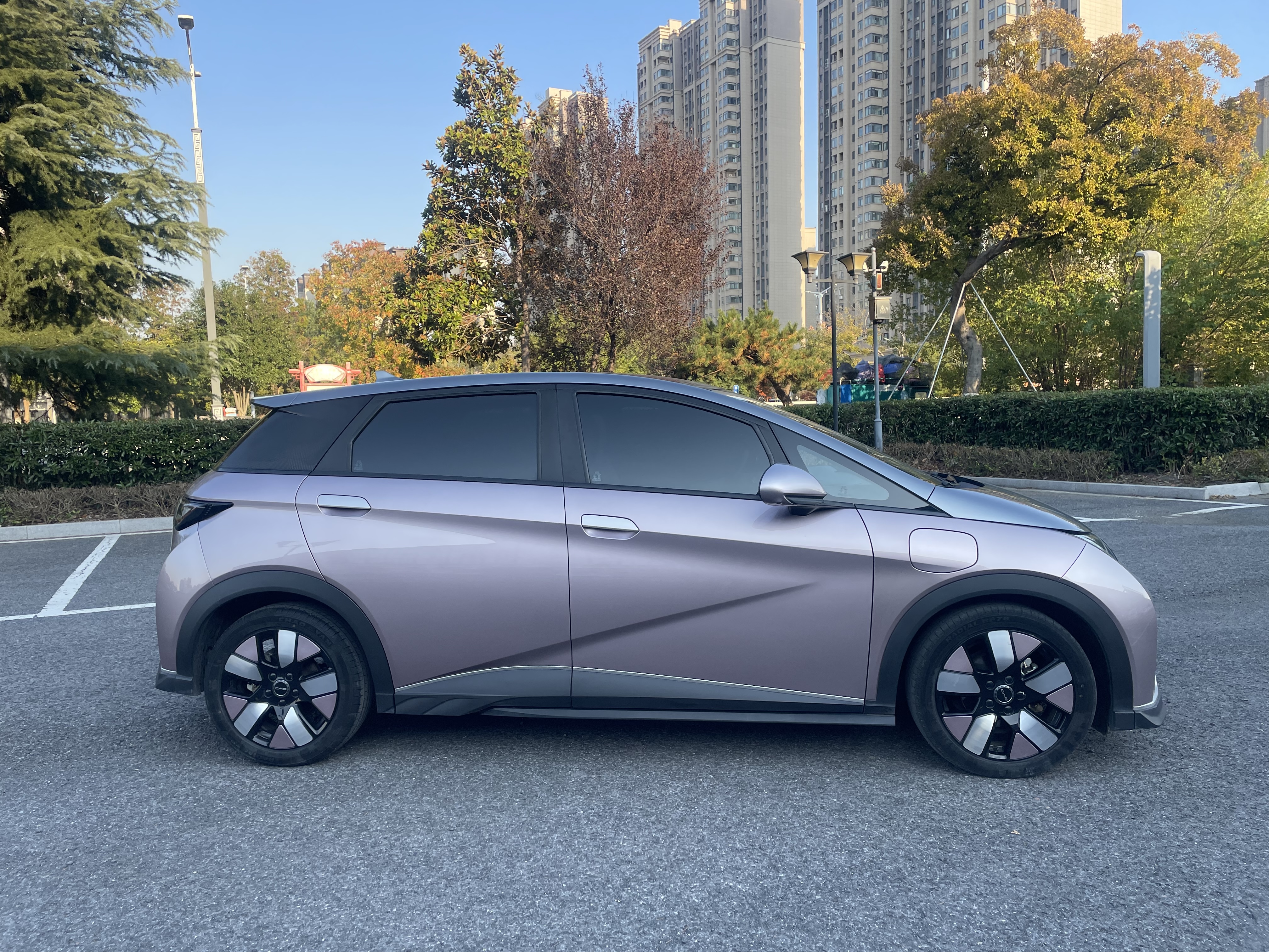 BYD Dolphin 2023 صورة سيارة #4