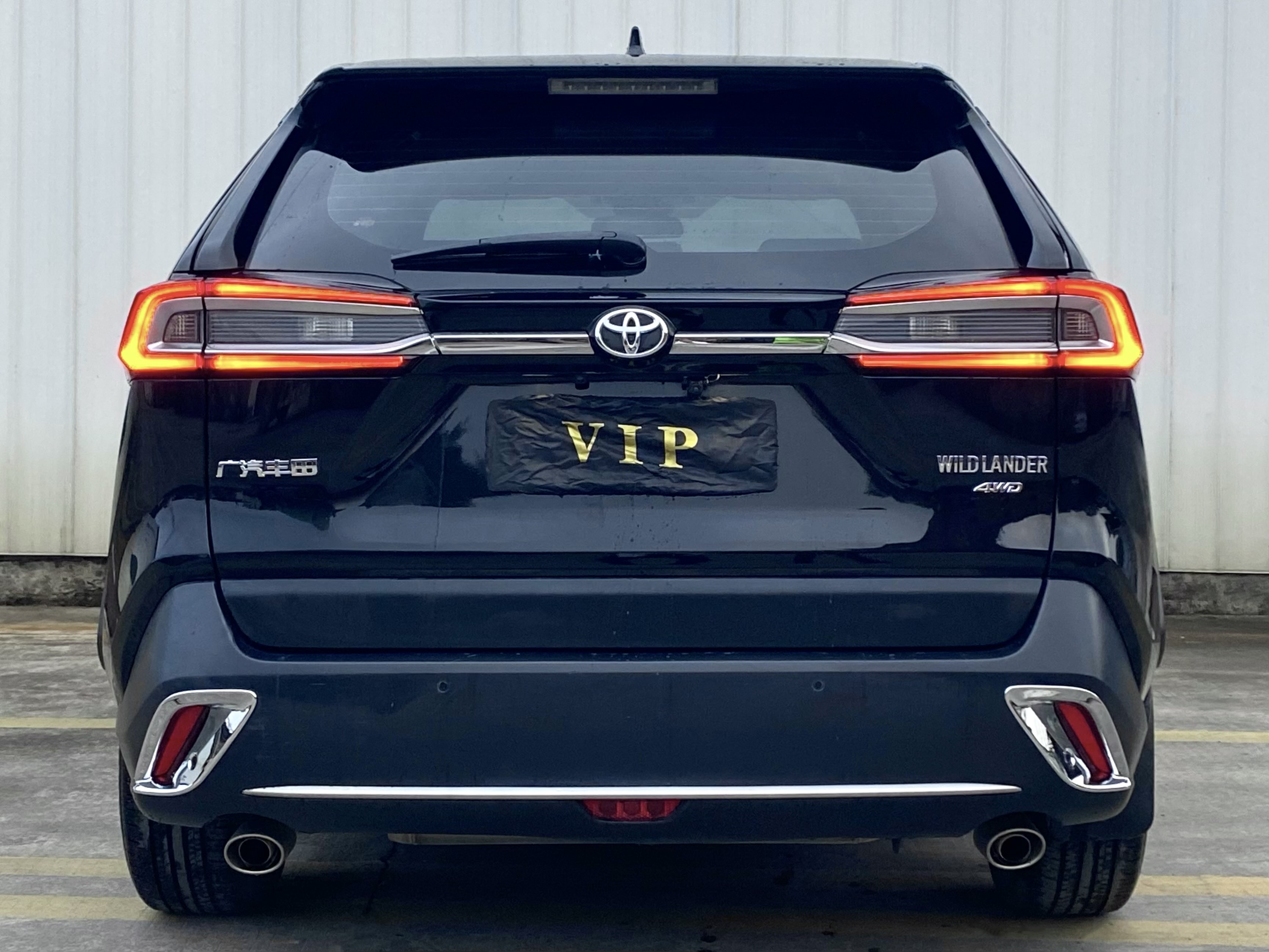 Toyota Wildlander 2022 imagem de carro #4