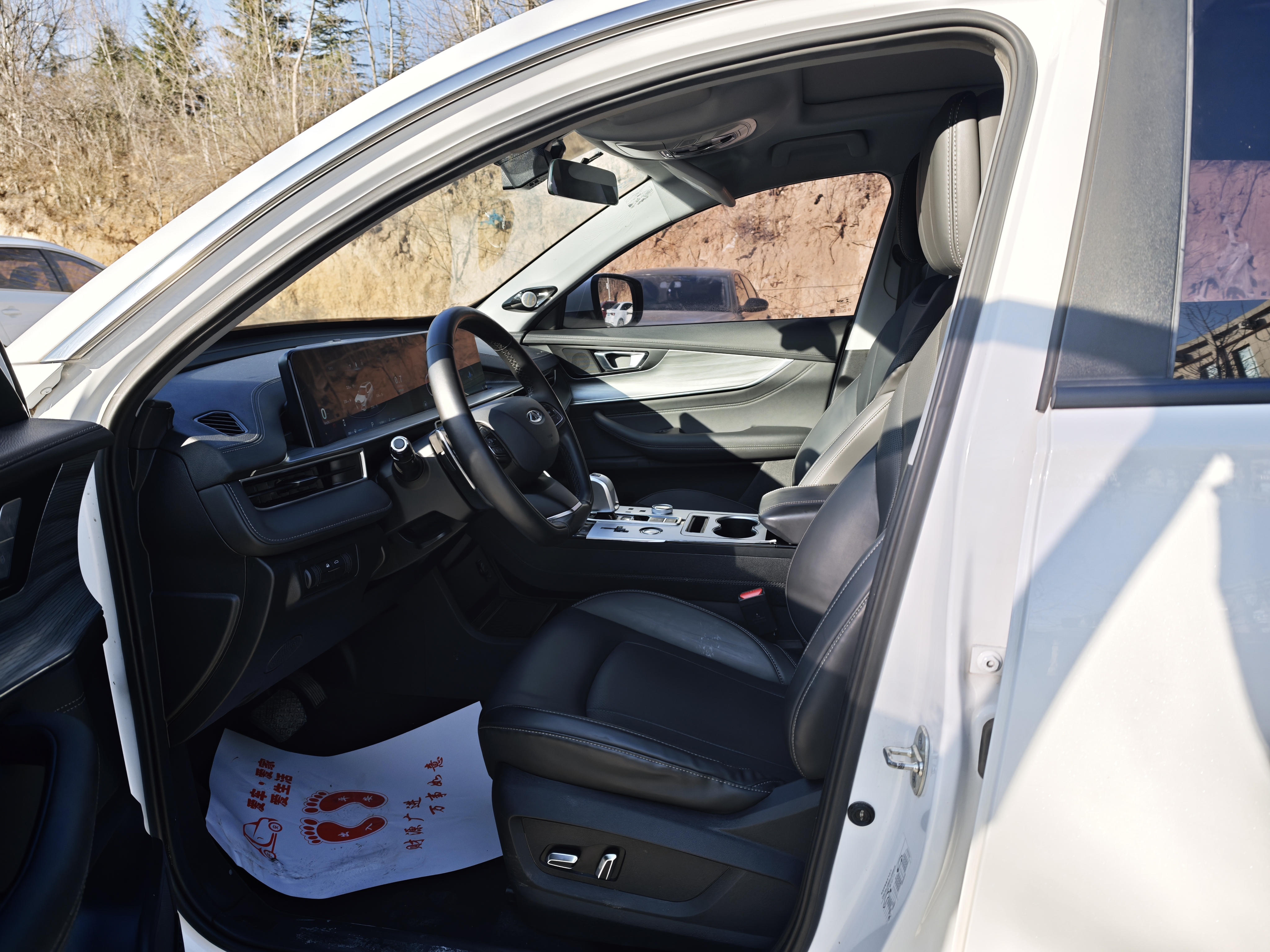 Tiggo 8 Plus 2022 car image #4