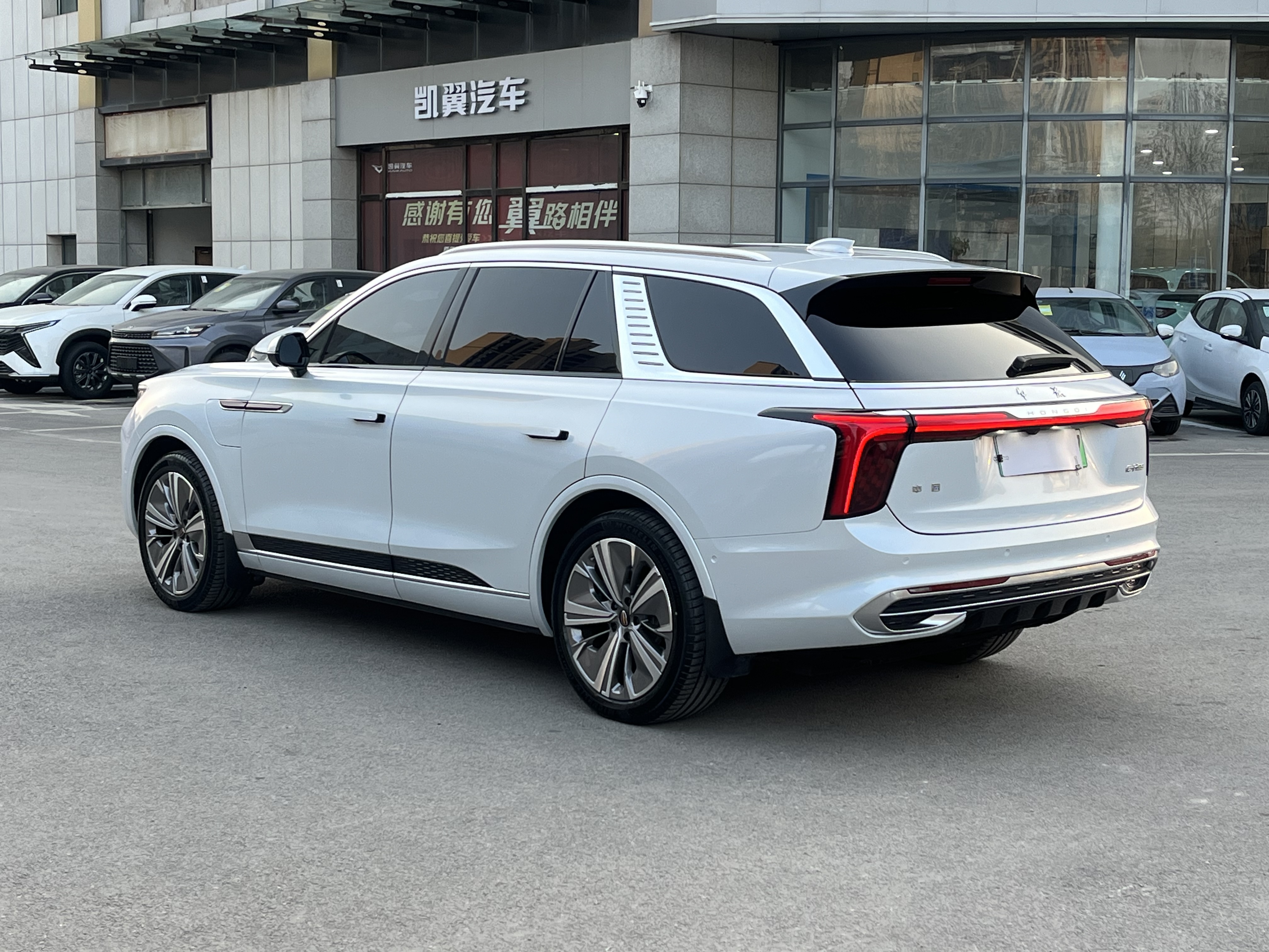 HongQi E-HS9 2023 car image #4