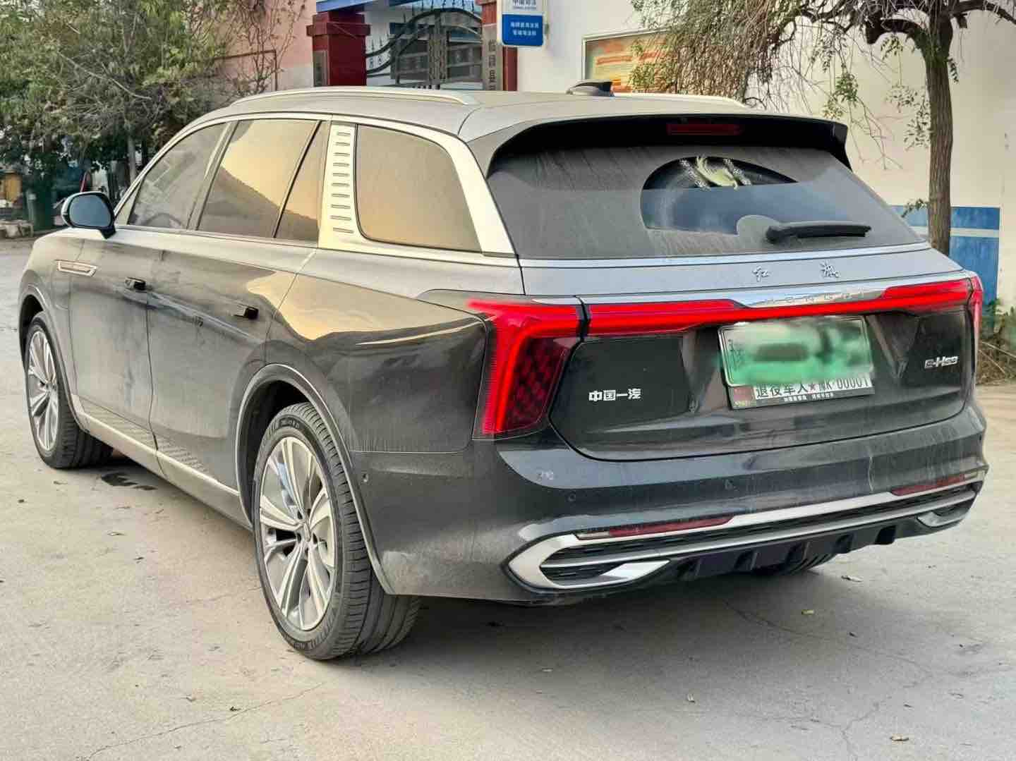 HongQi E-HS9 2023 immagine di auto #4