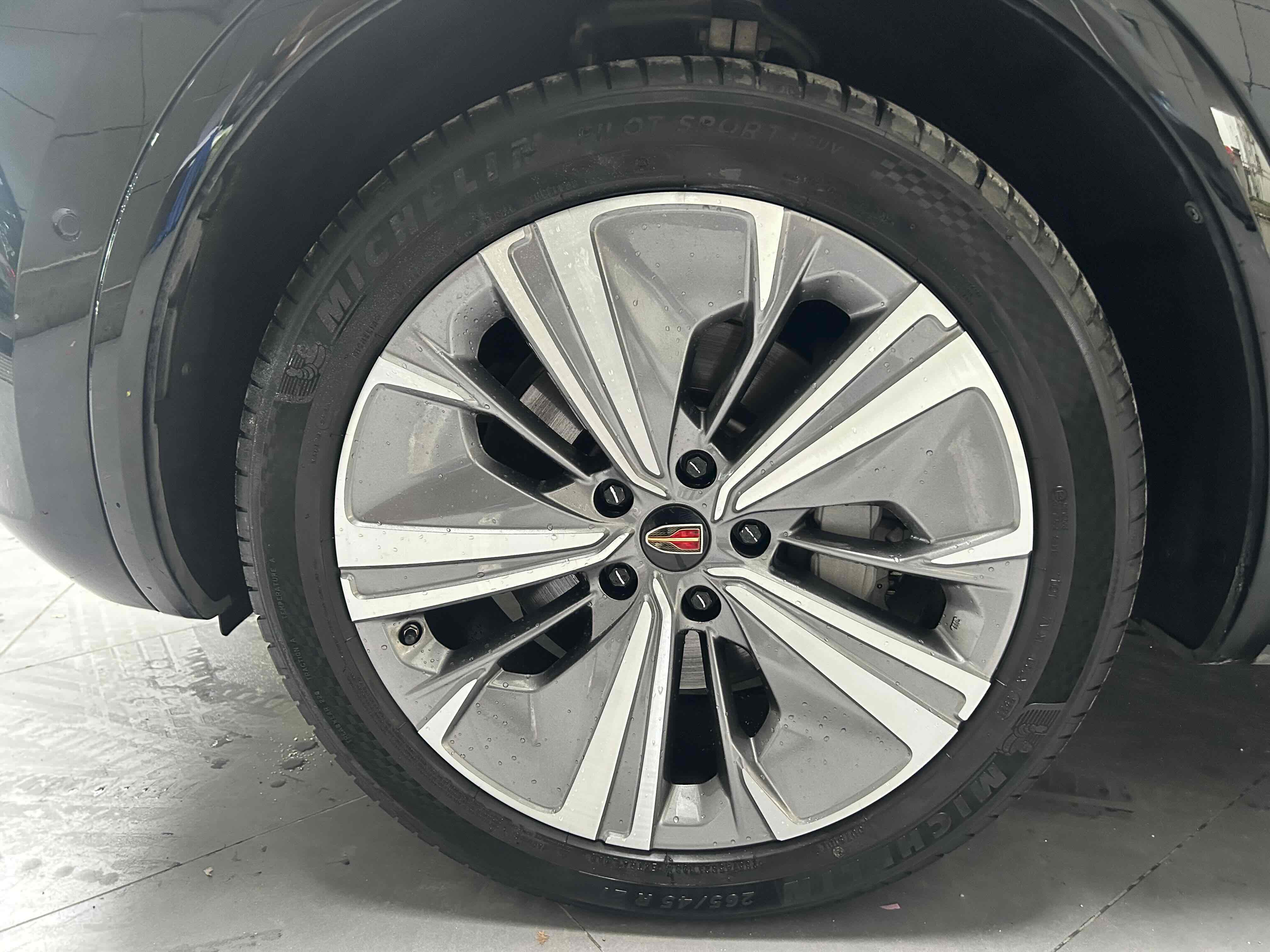 HongQi E-HS9 2022 immagine di auto #4