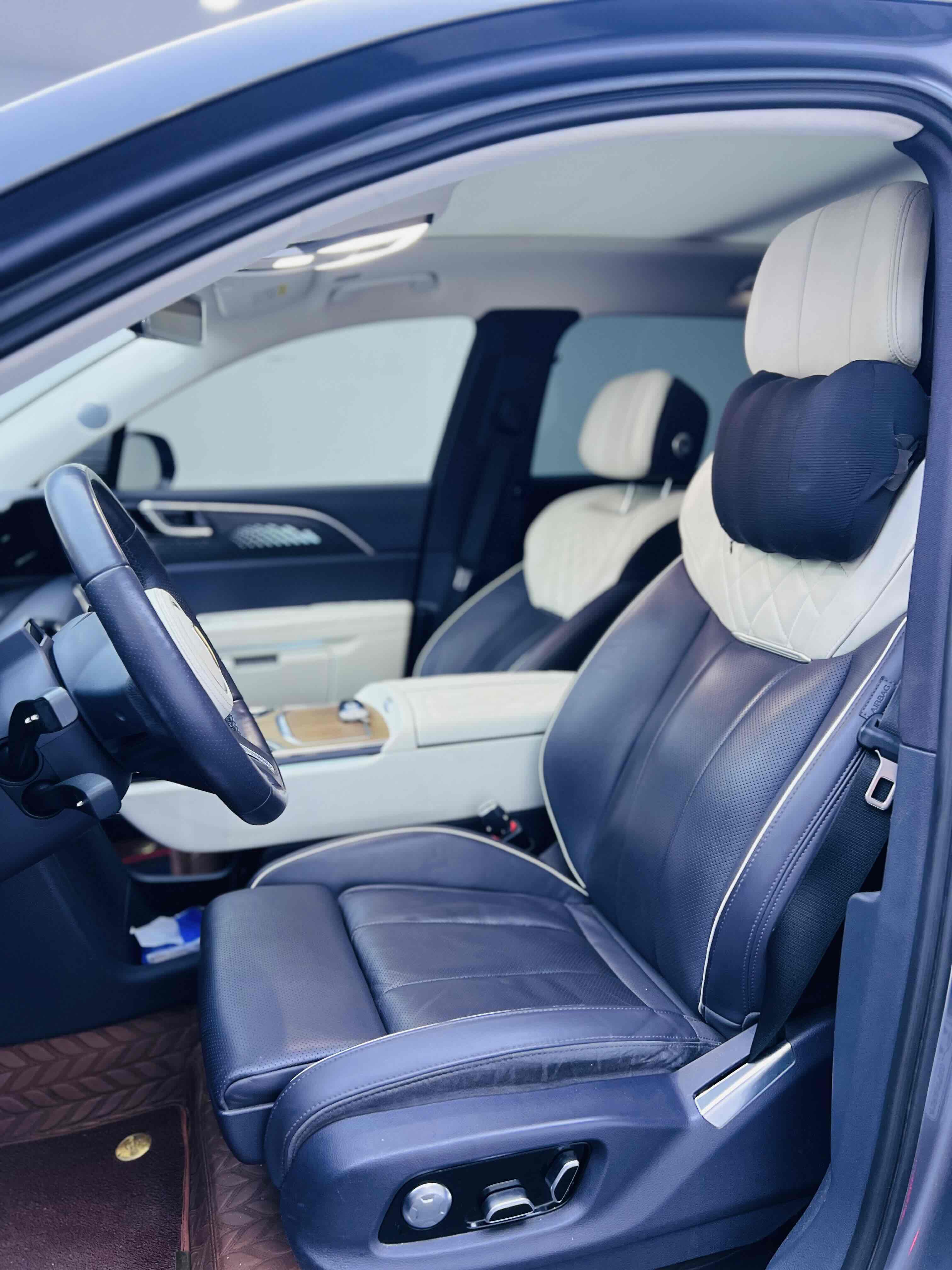 HongQi E-HS9 2022 car image #4