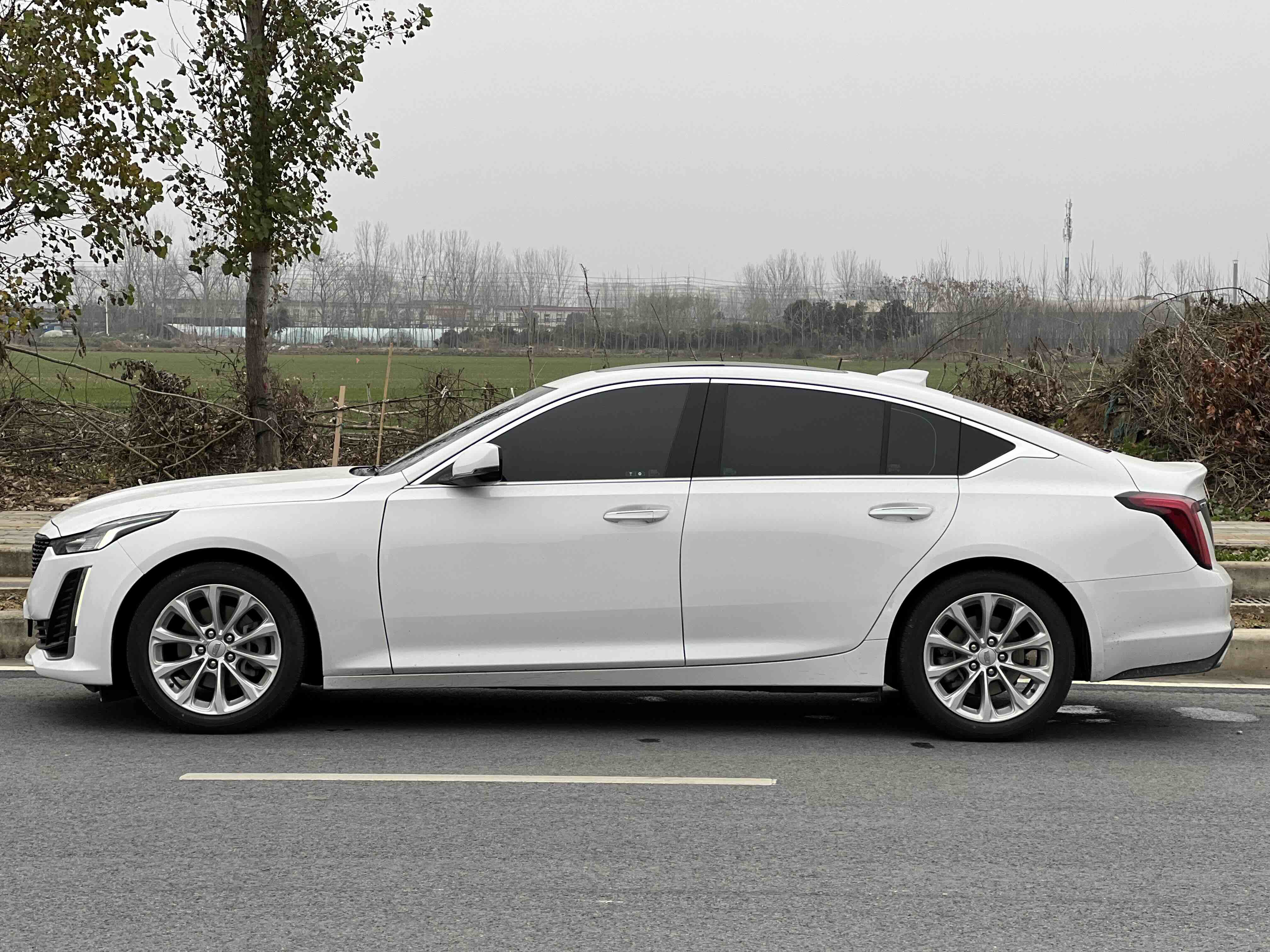 2023 car image #4