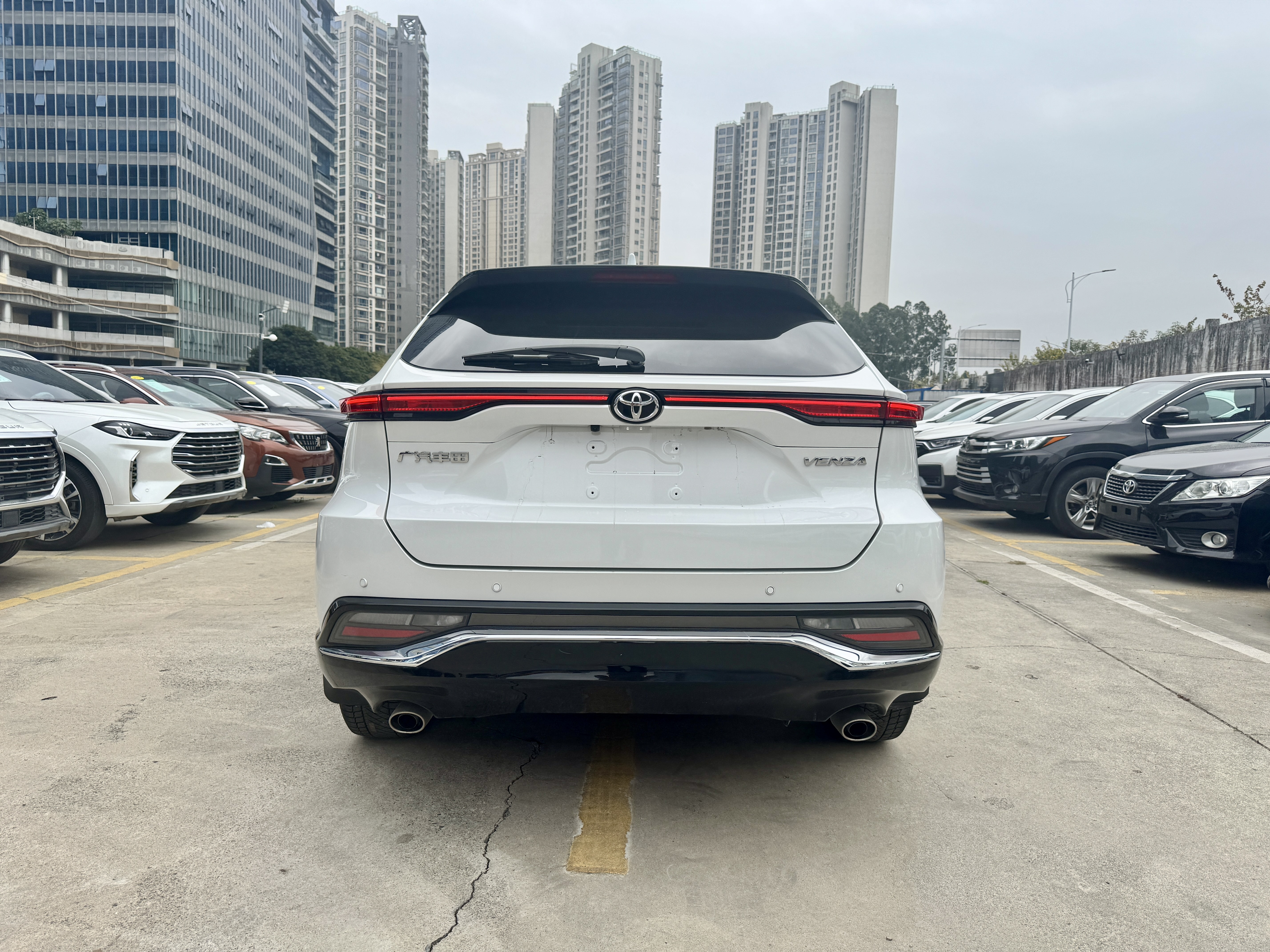 Toyota Venza 2023 car image #4