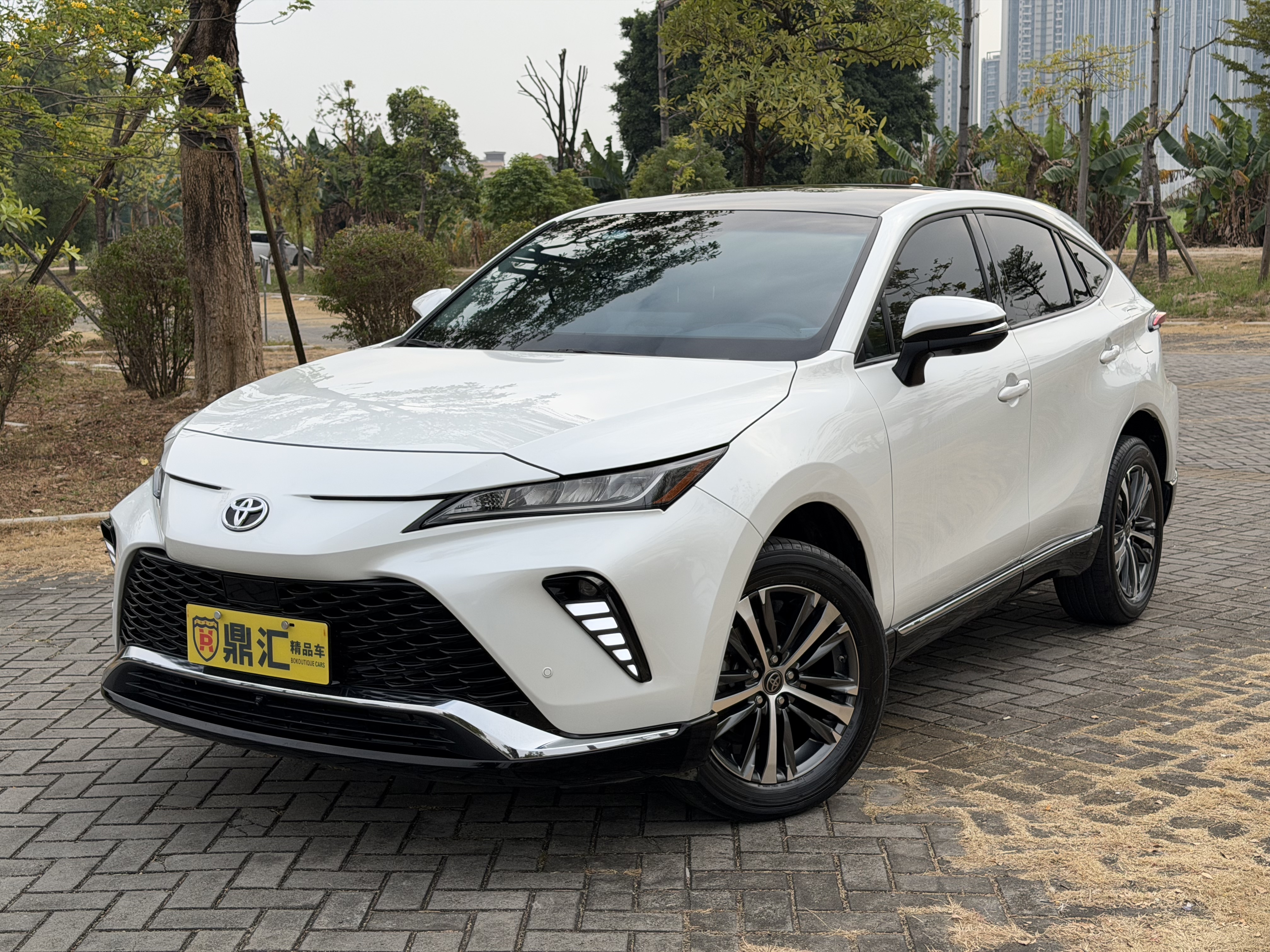 Toyota Venza 2023 immagine di auto #4