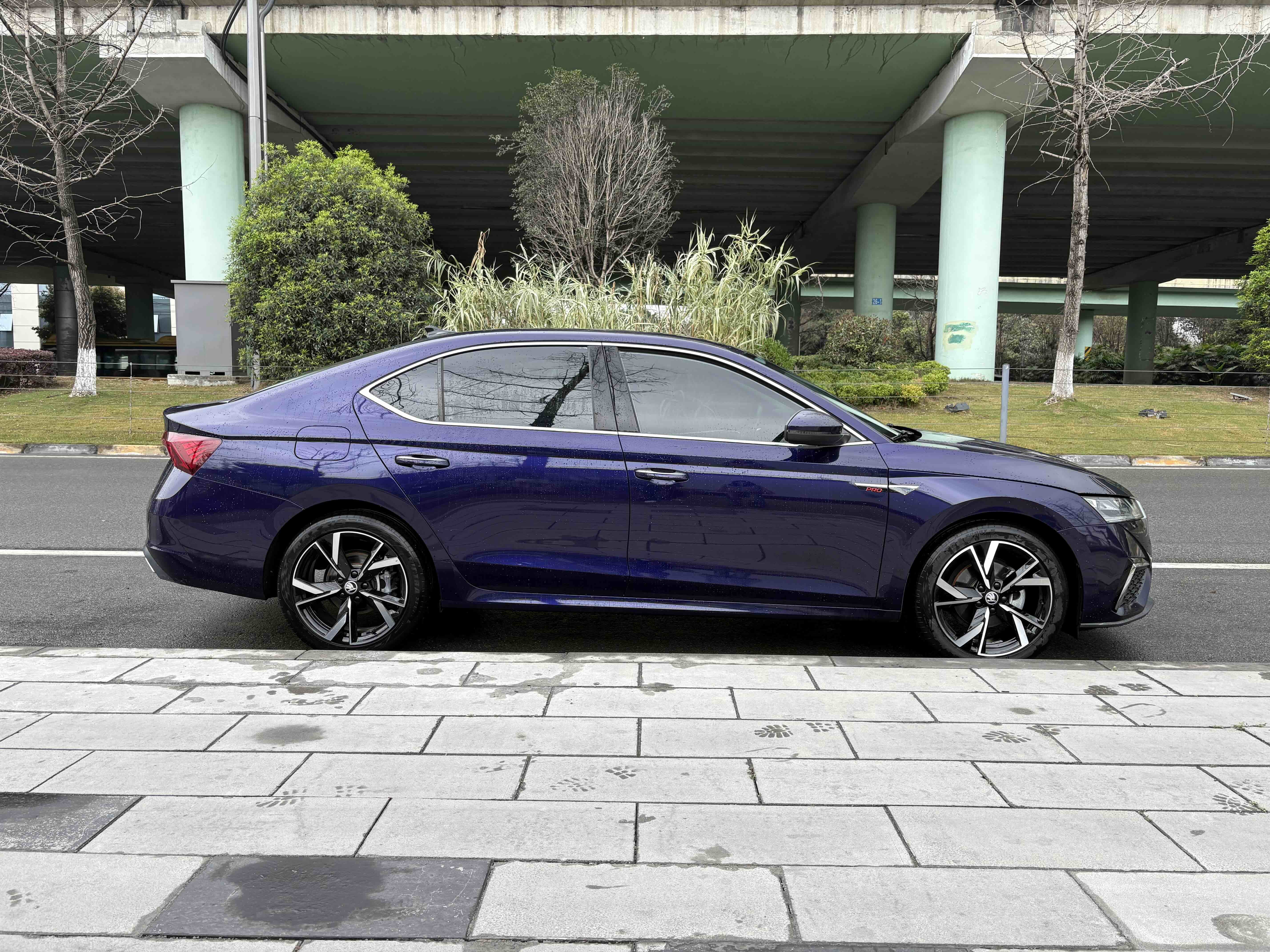 Skoda Octavia 2022 car image #4