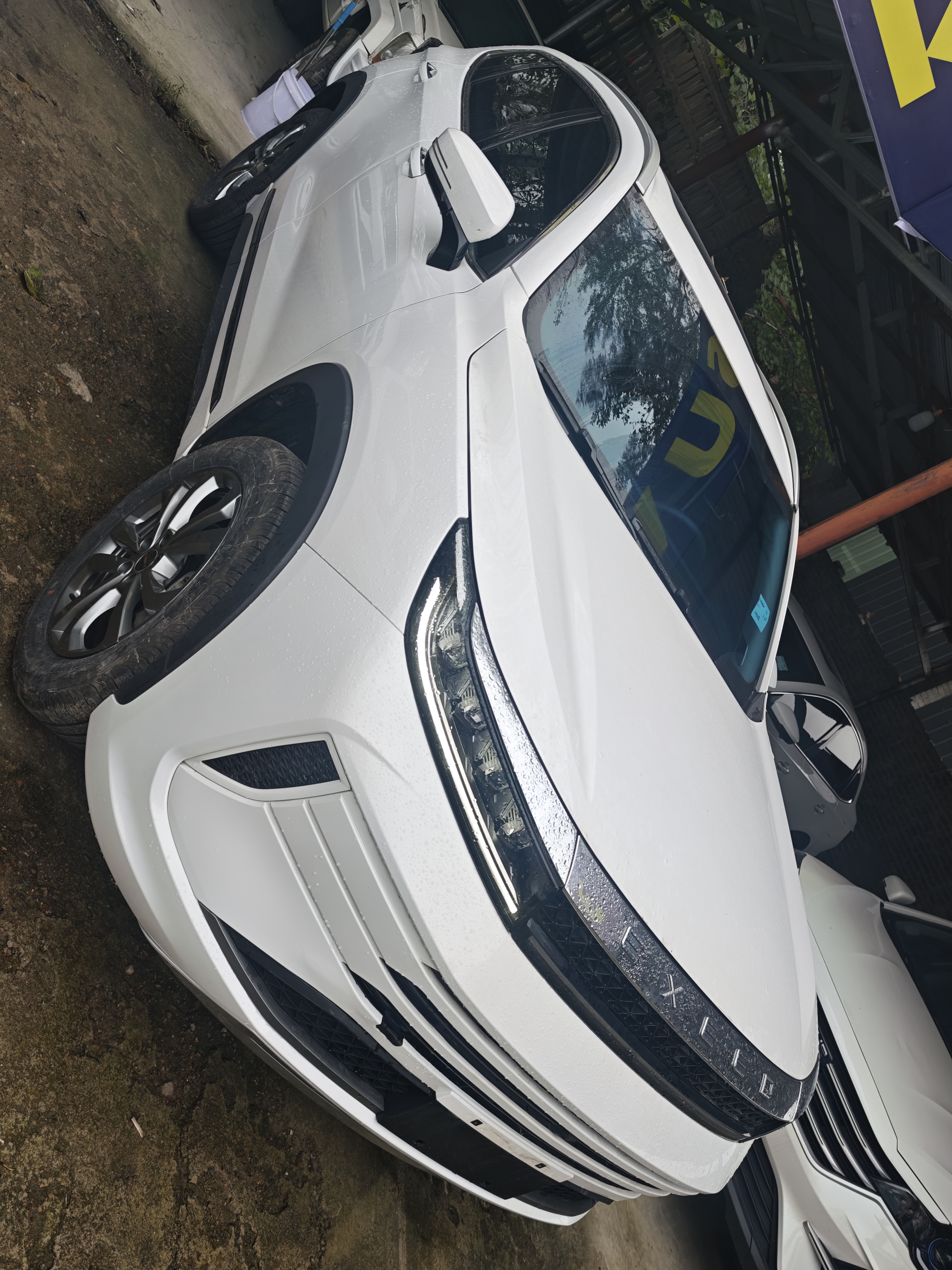 Exceed Chasing Wind C-DM 2024 car image #4