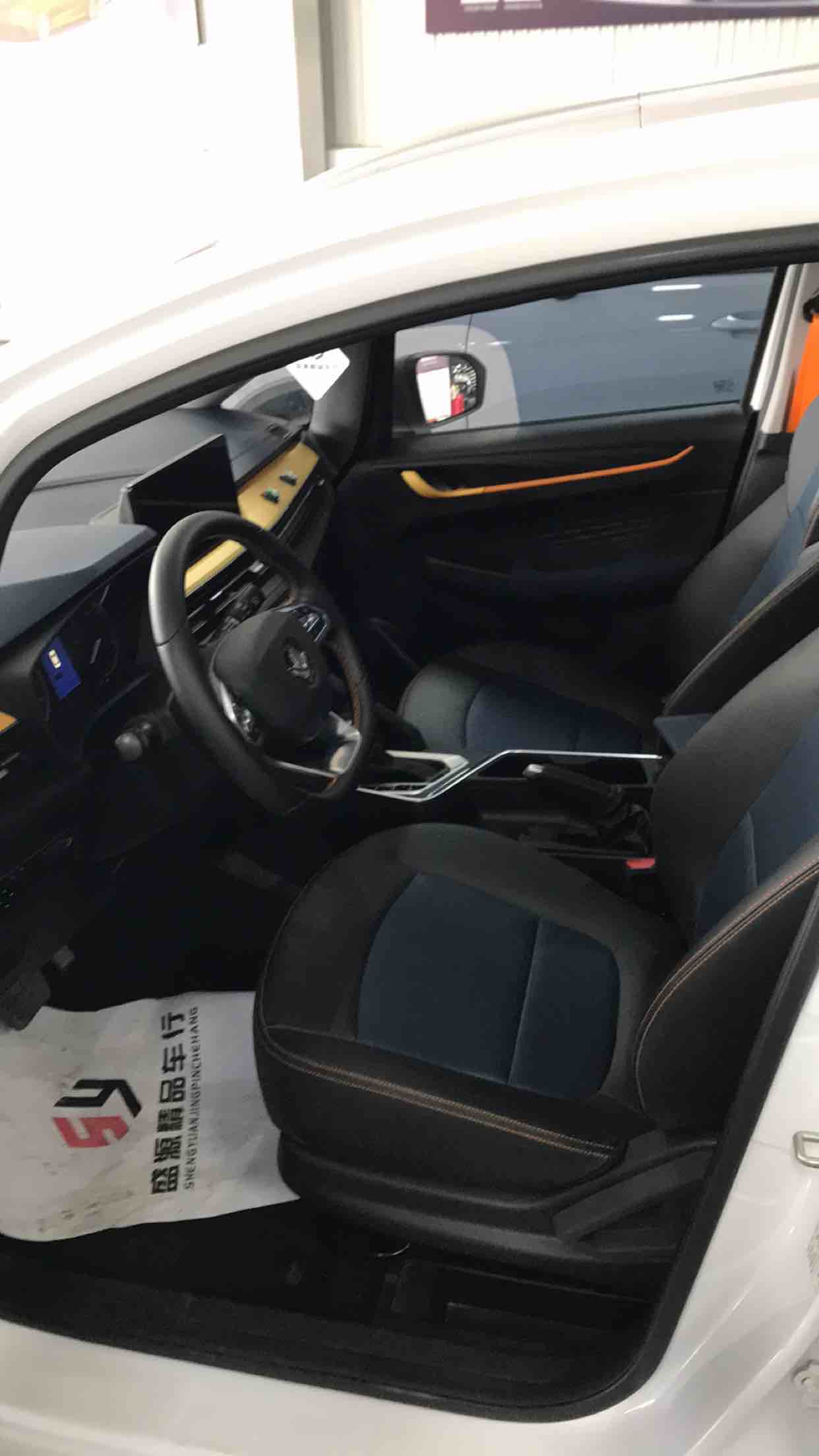 睿蓝汽车 睿蓝汽车X3 PRO 2023 汽车图片 #4