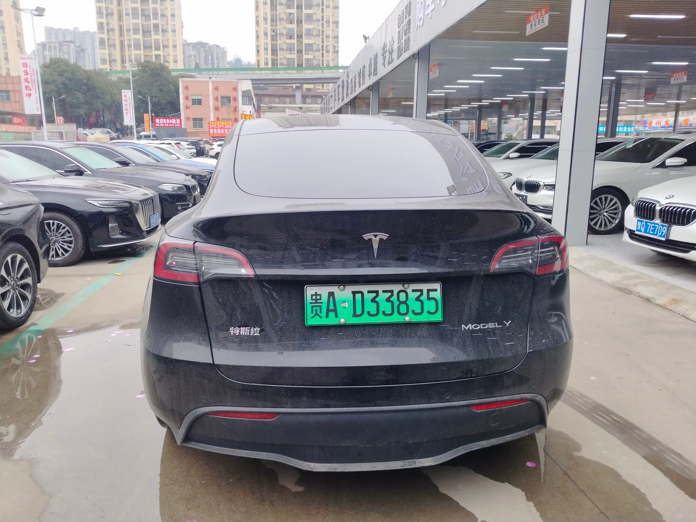 Tesla Model Y 2023 #4 Tesla Model Y 2023 car image #4