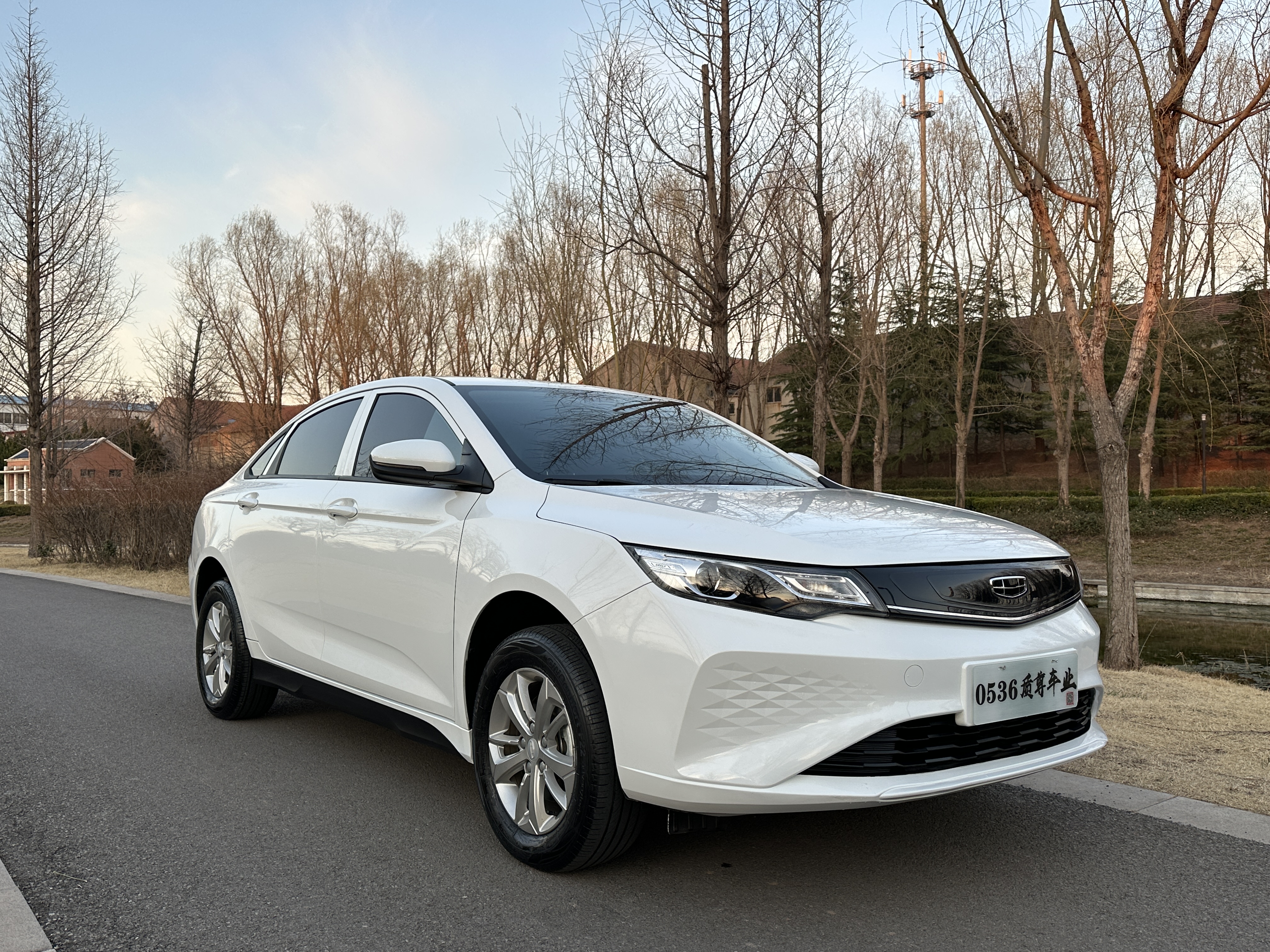GEELY Emgrand New Energy 2024 car image #4