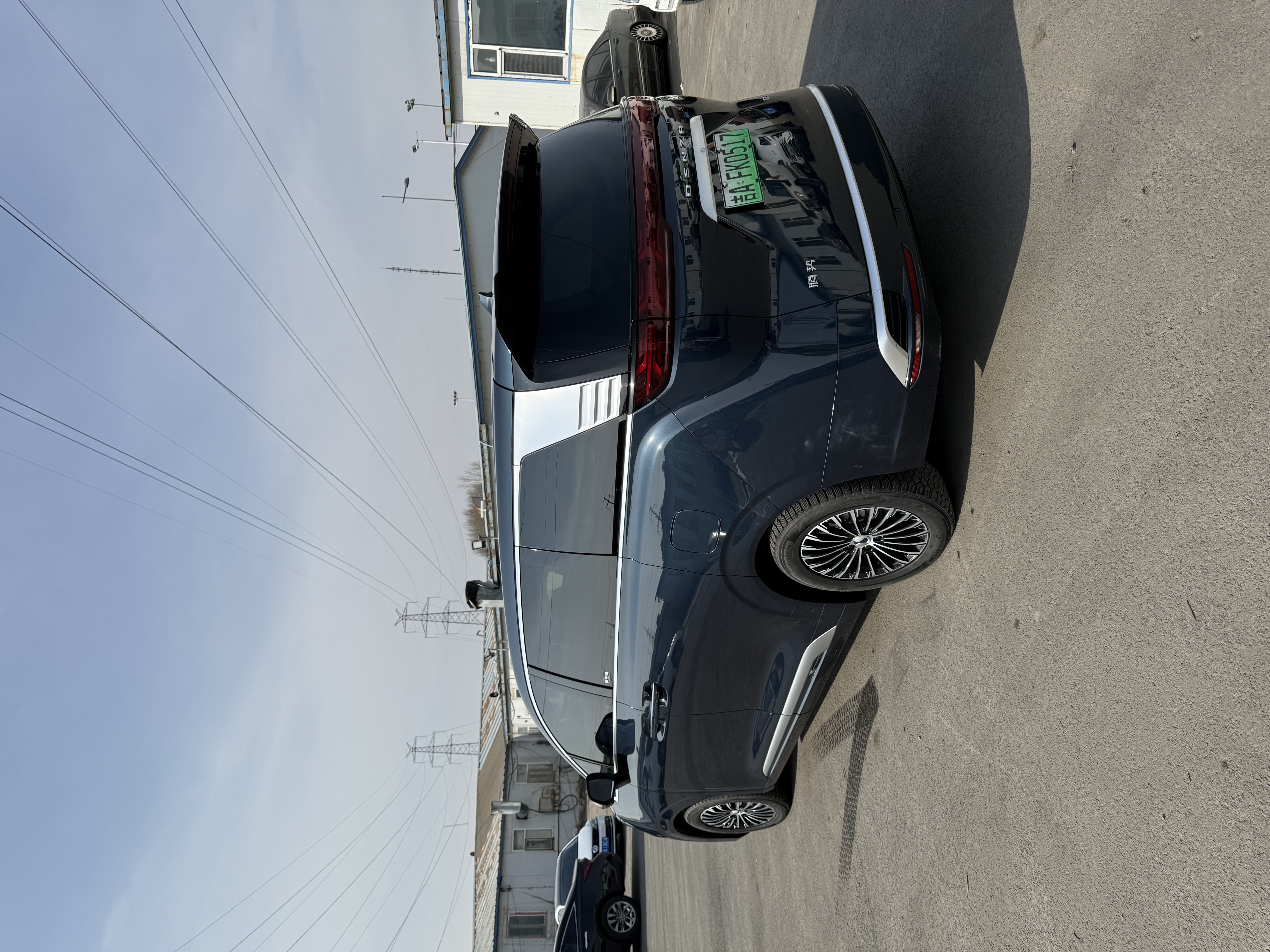 Denza D9 2023 car image #4