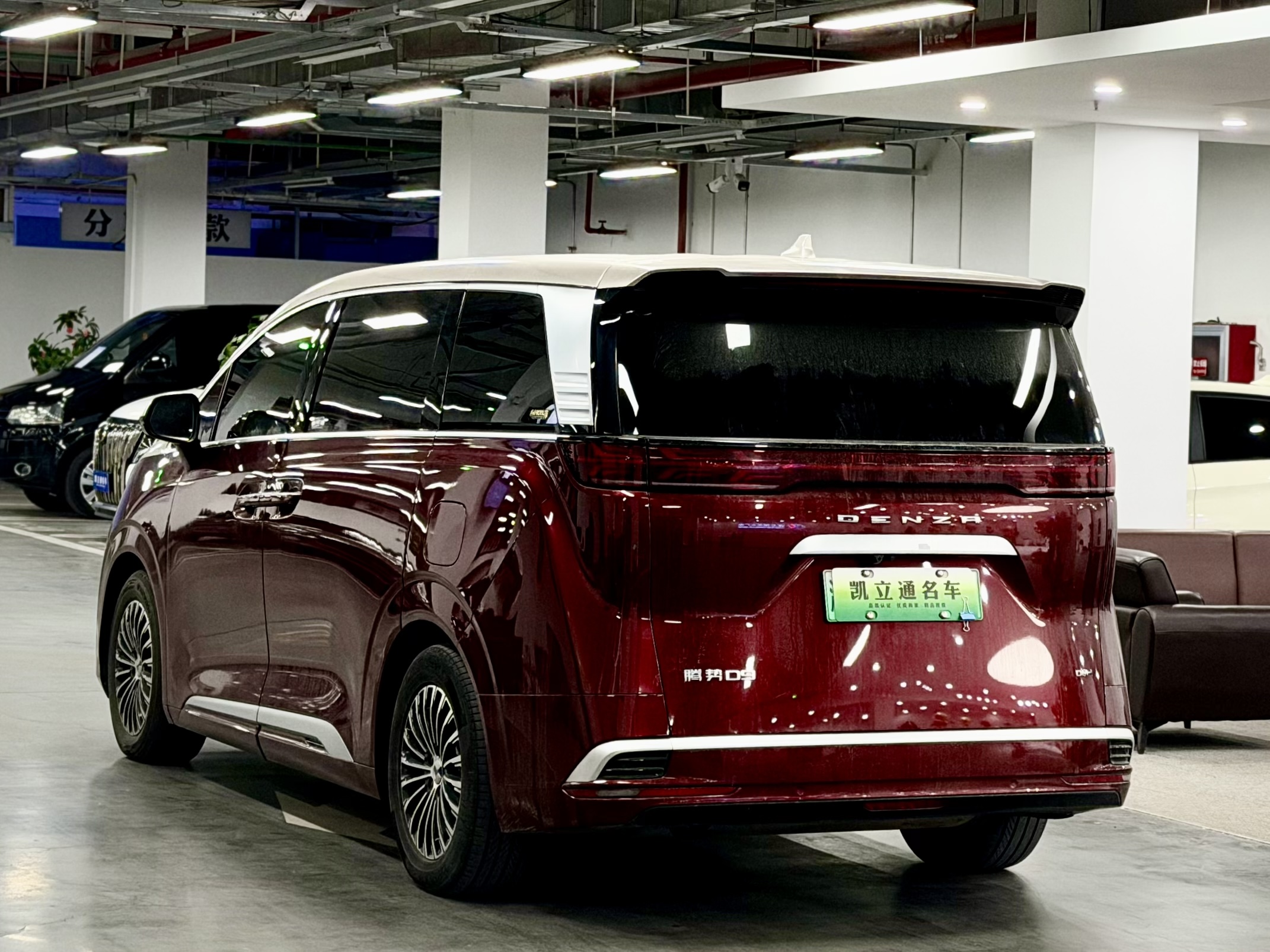 Denza D9 2023 imagem de carro #4