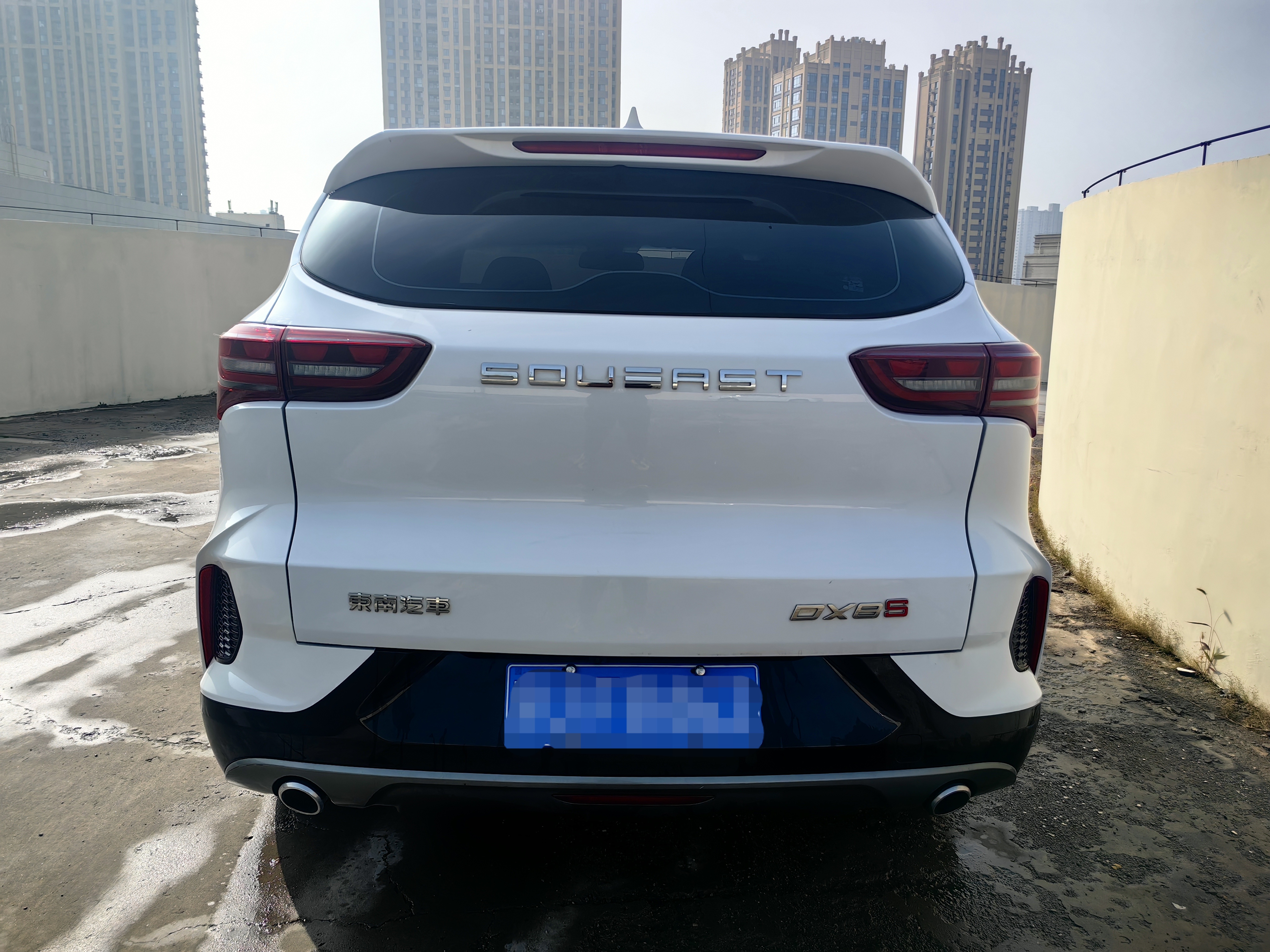 Soueast DX8 S 2023 immagine di auto #4