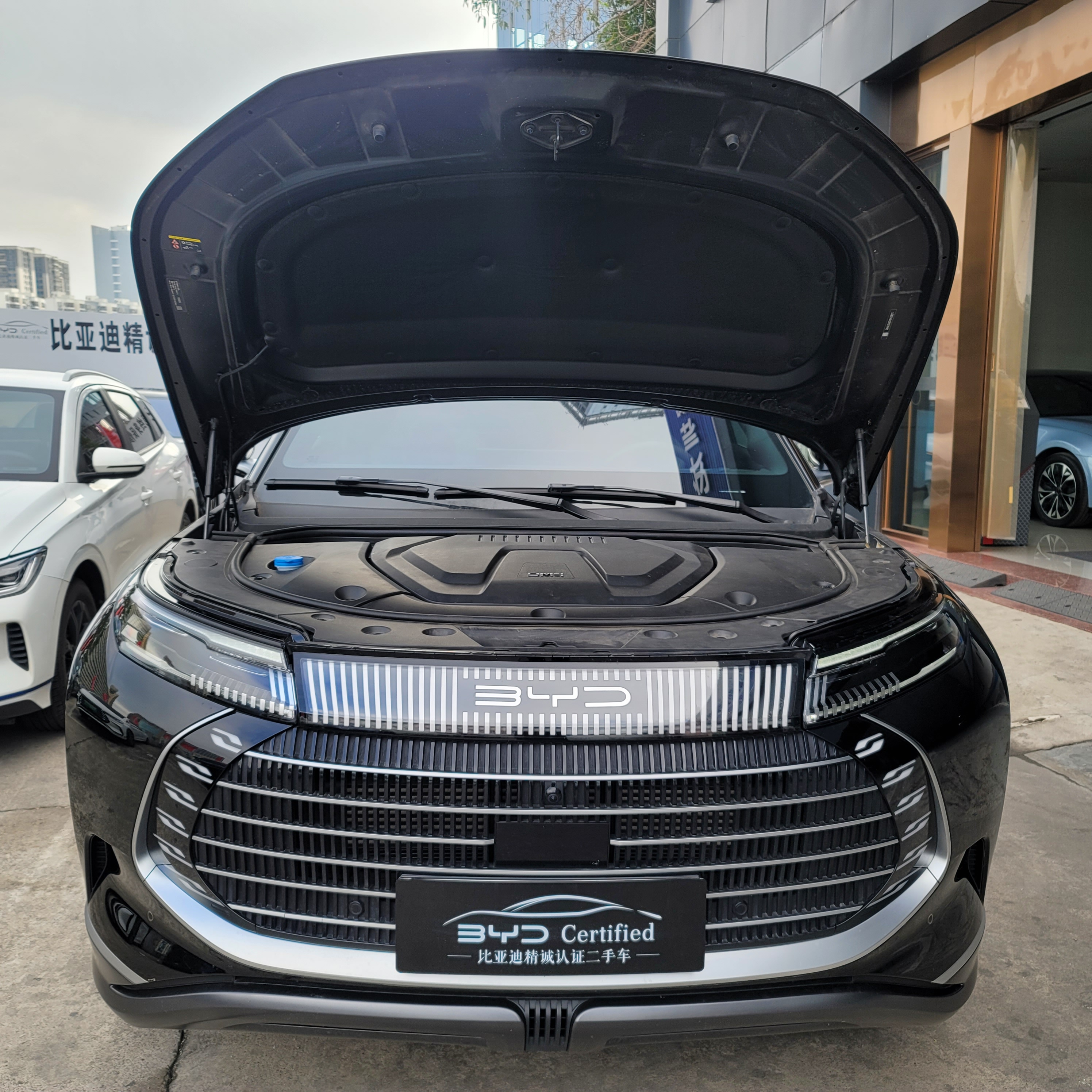 BYD Frigate 07 2023 #4 BYD Frigate 07 2023 car image #4