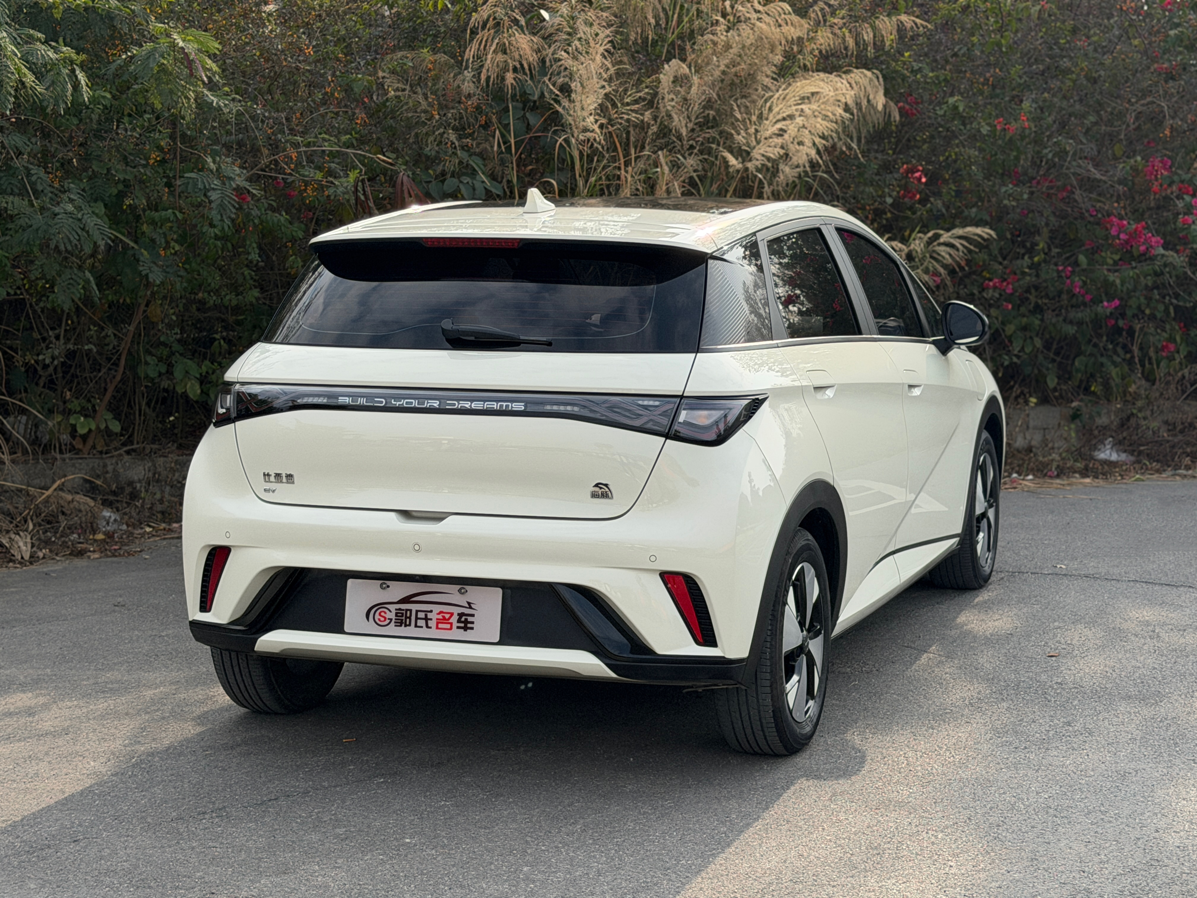 BYD Dolphin 2023 car image #4