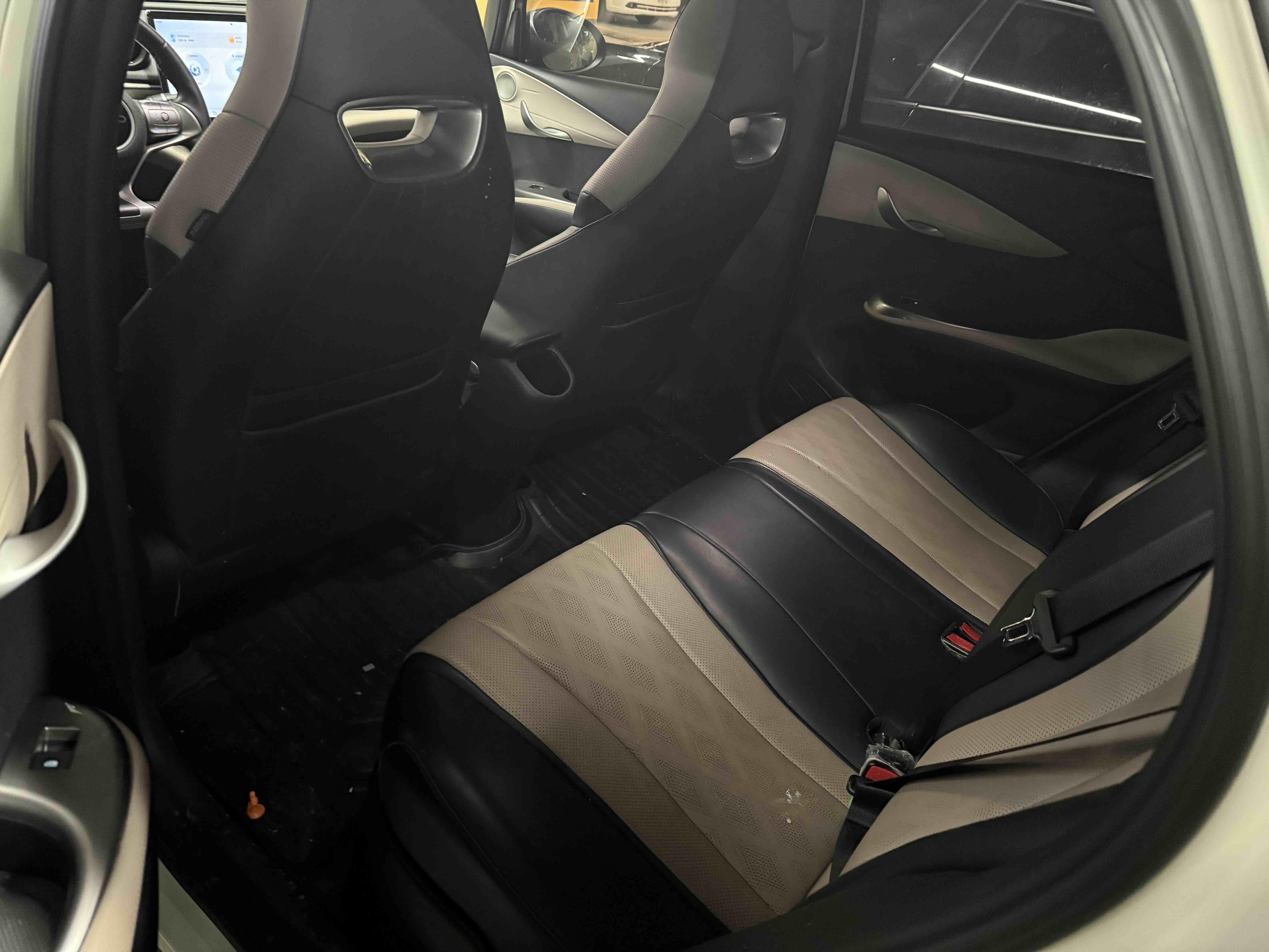 BYD Dolphin 2023 car image #4