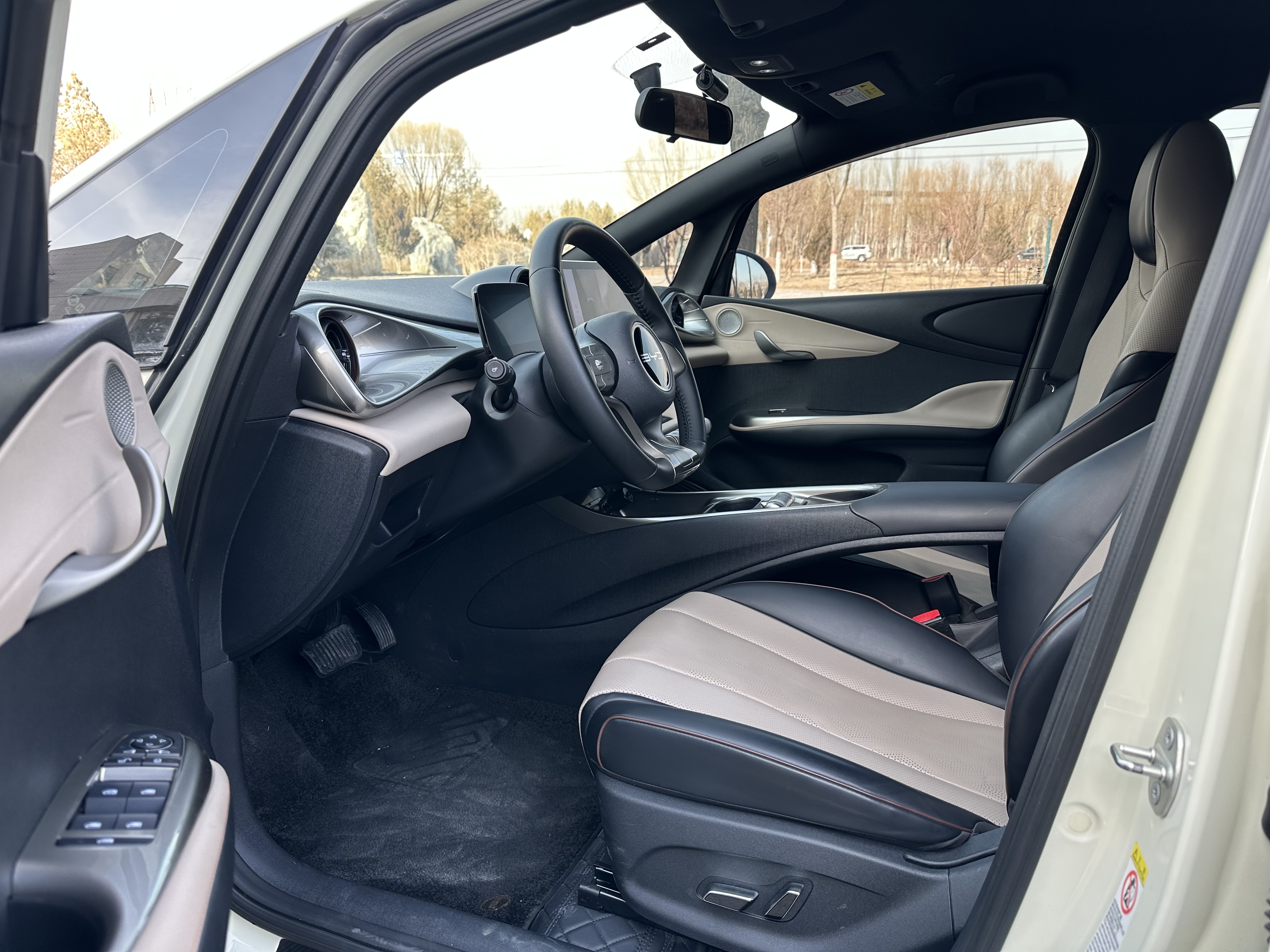 BYD Dolphin 2024 car image #4