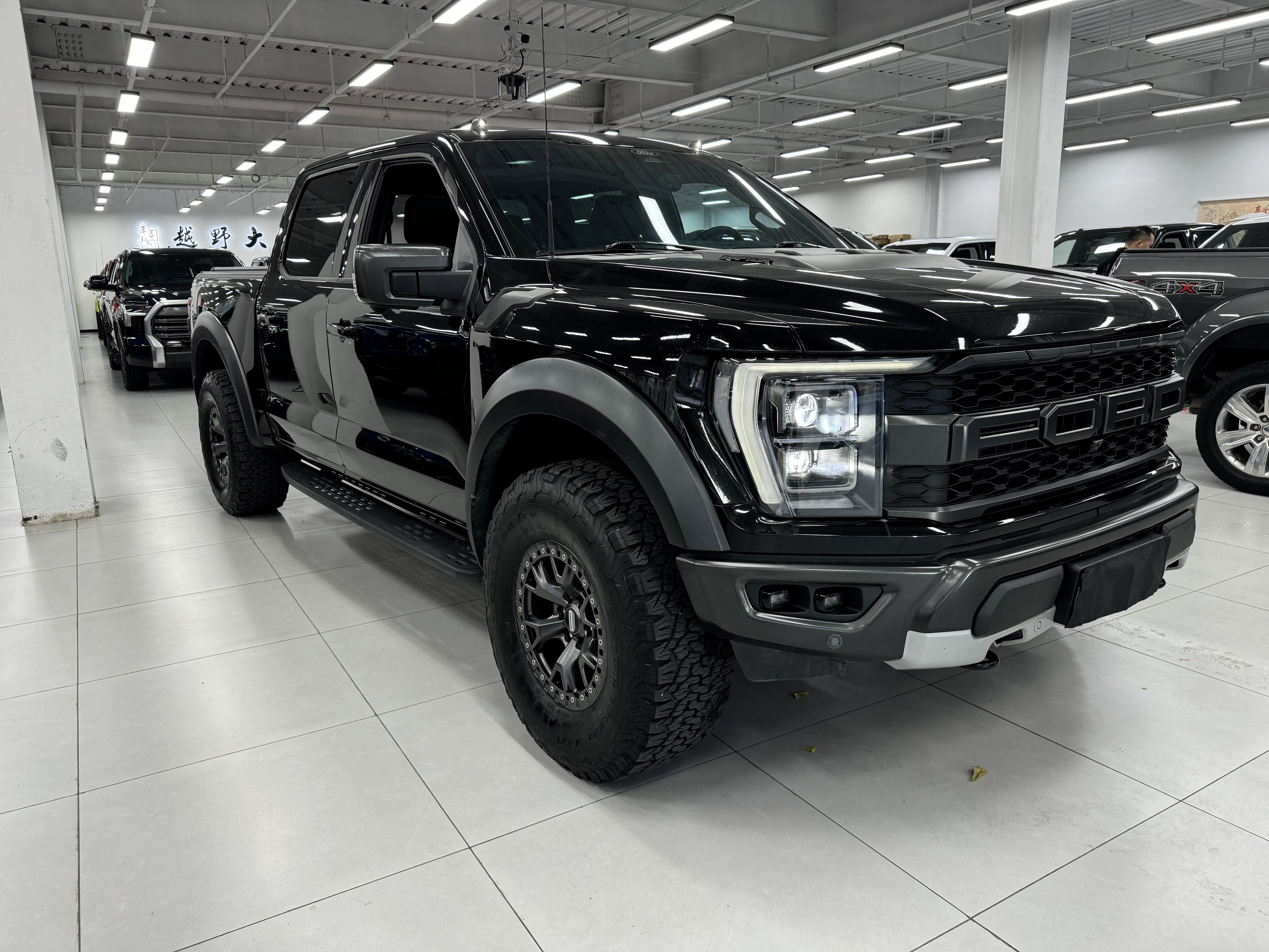 Ford F-150 Raptor 2023 car image #4