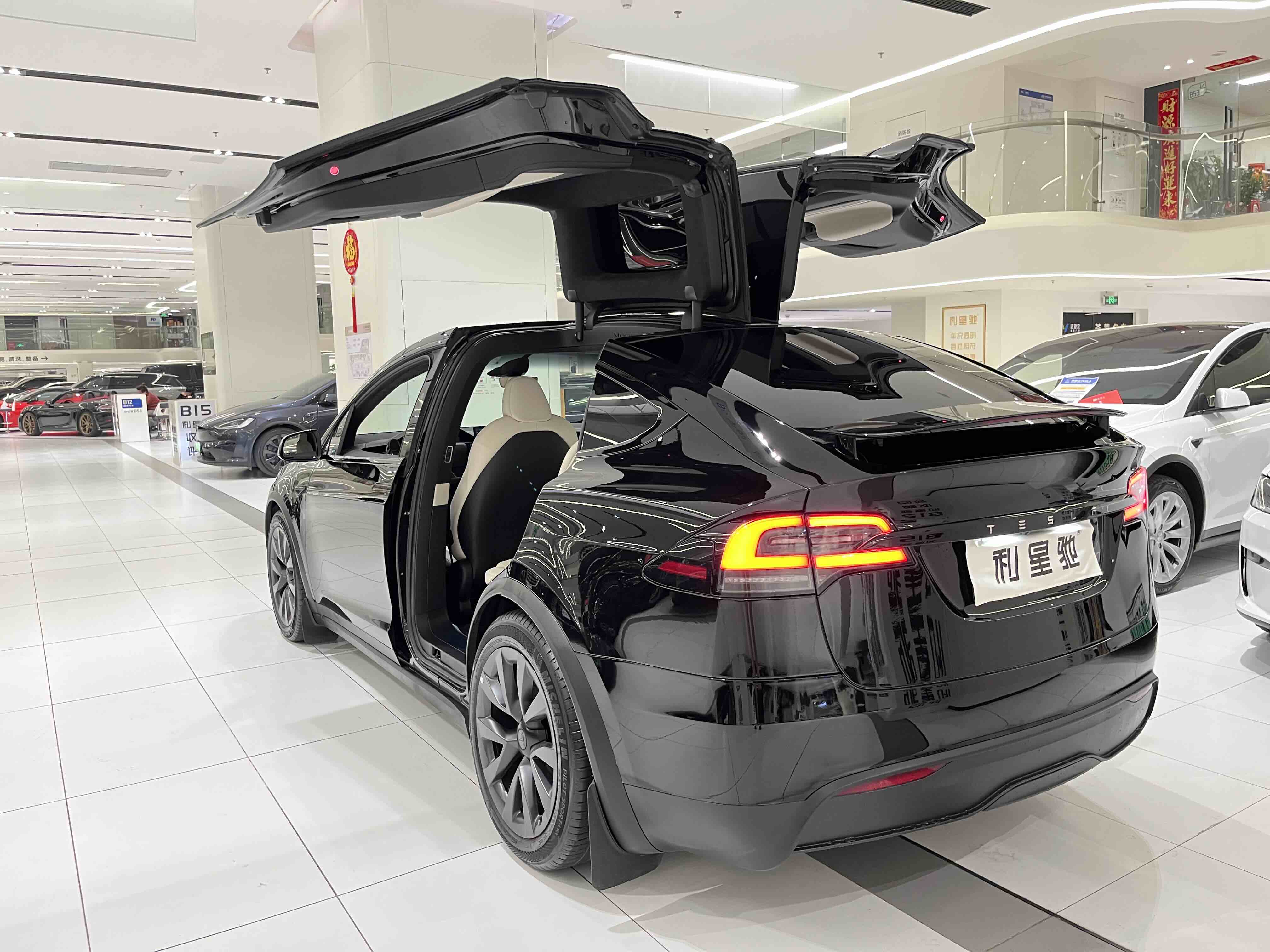 特斯拉 Model X 2023 汽车图片 #4