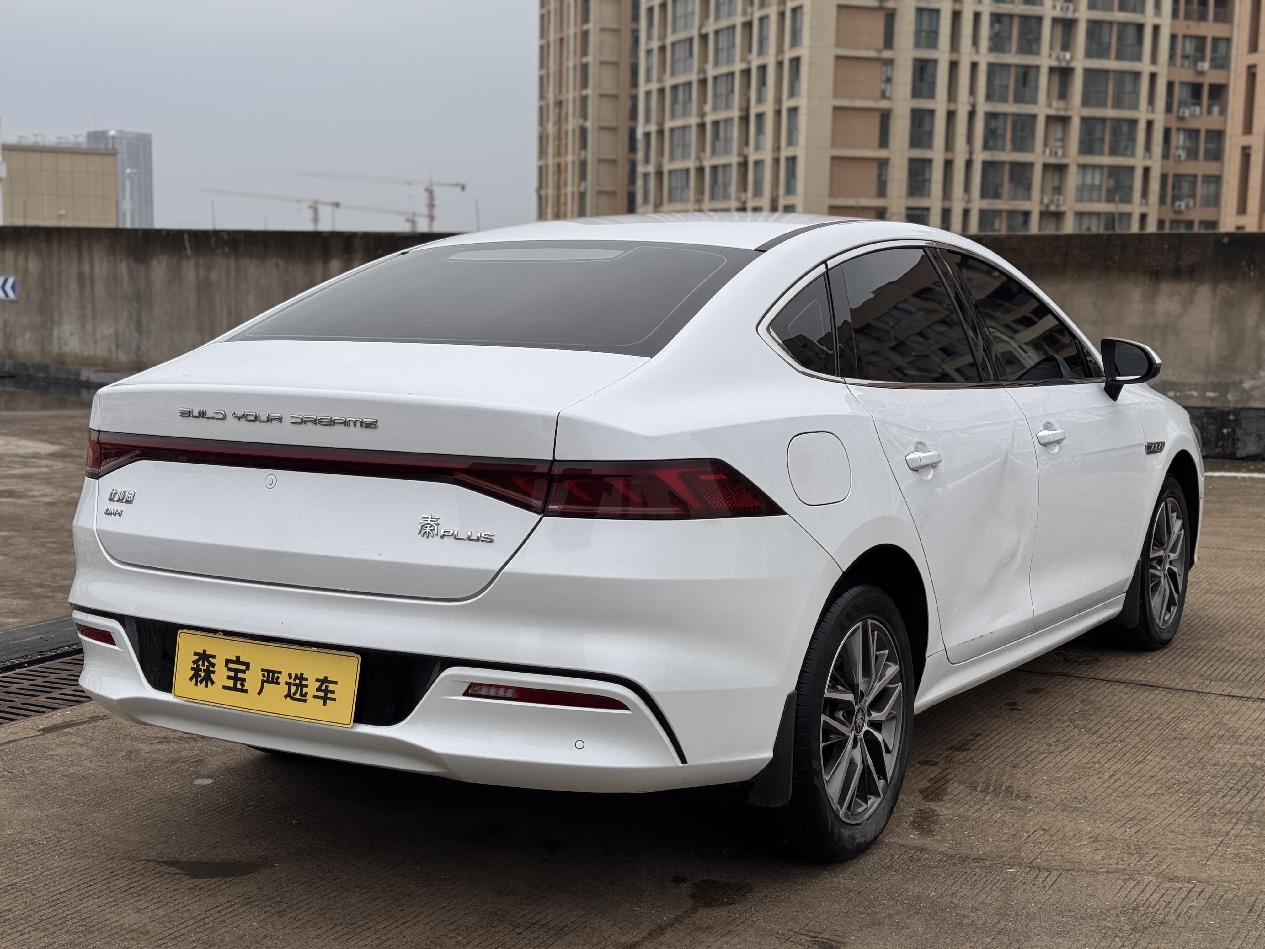 BYD Qin Plus 2023 imagem de carro #4