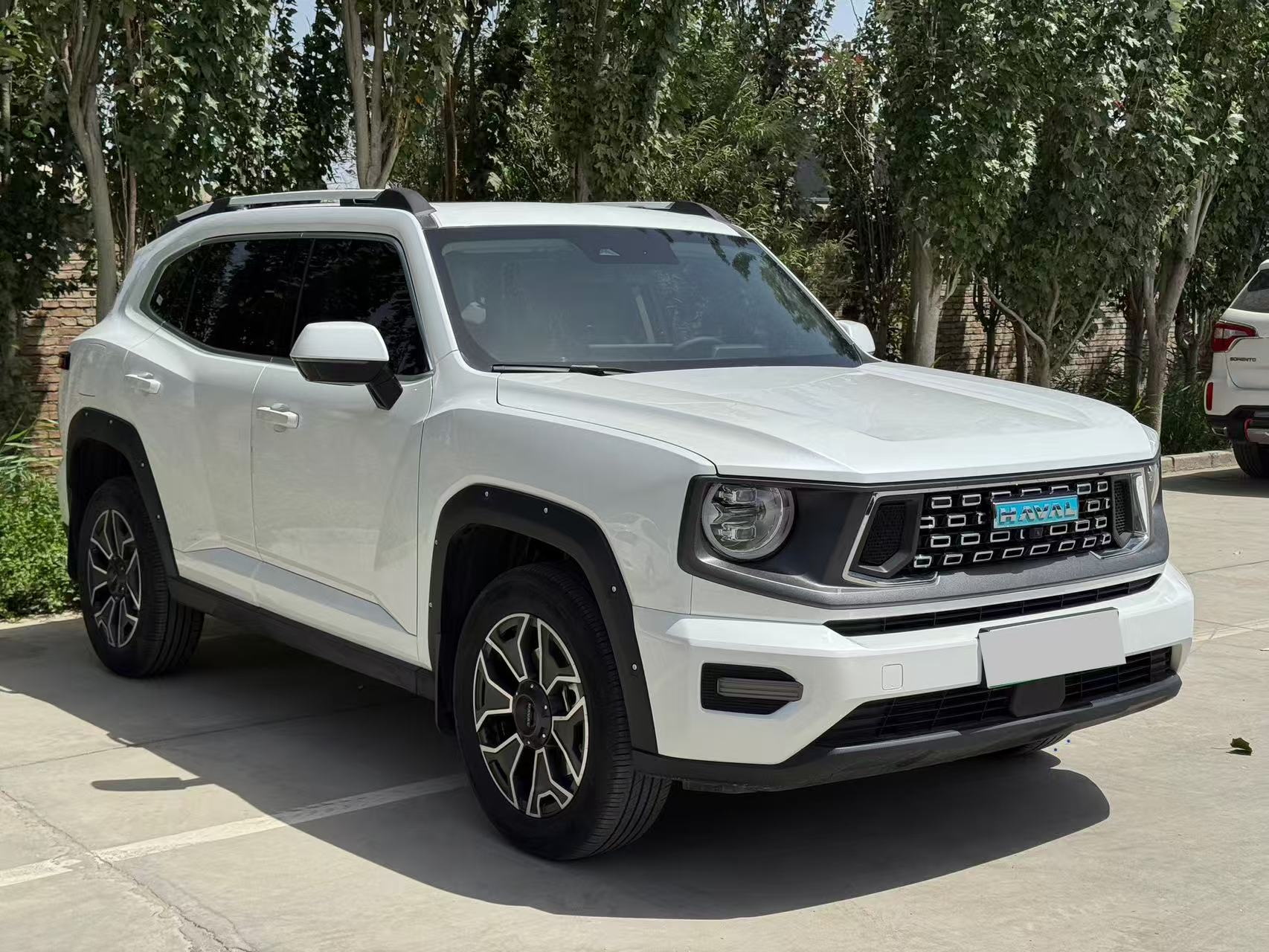 Haval X Dog 2 New Energy 2023 car image #4