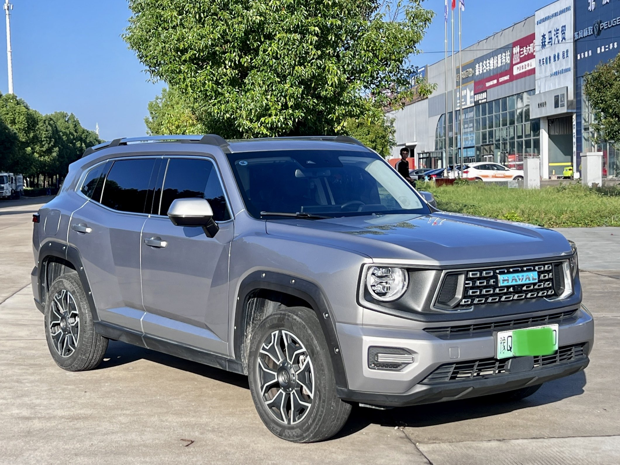 Haval X Dog 2 New Energy 2023 car image #4