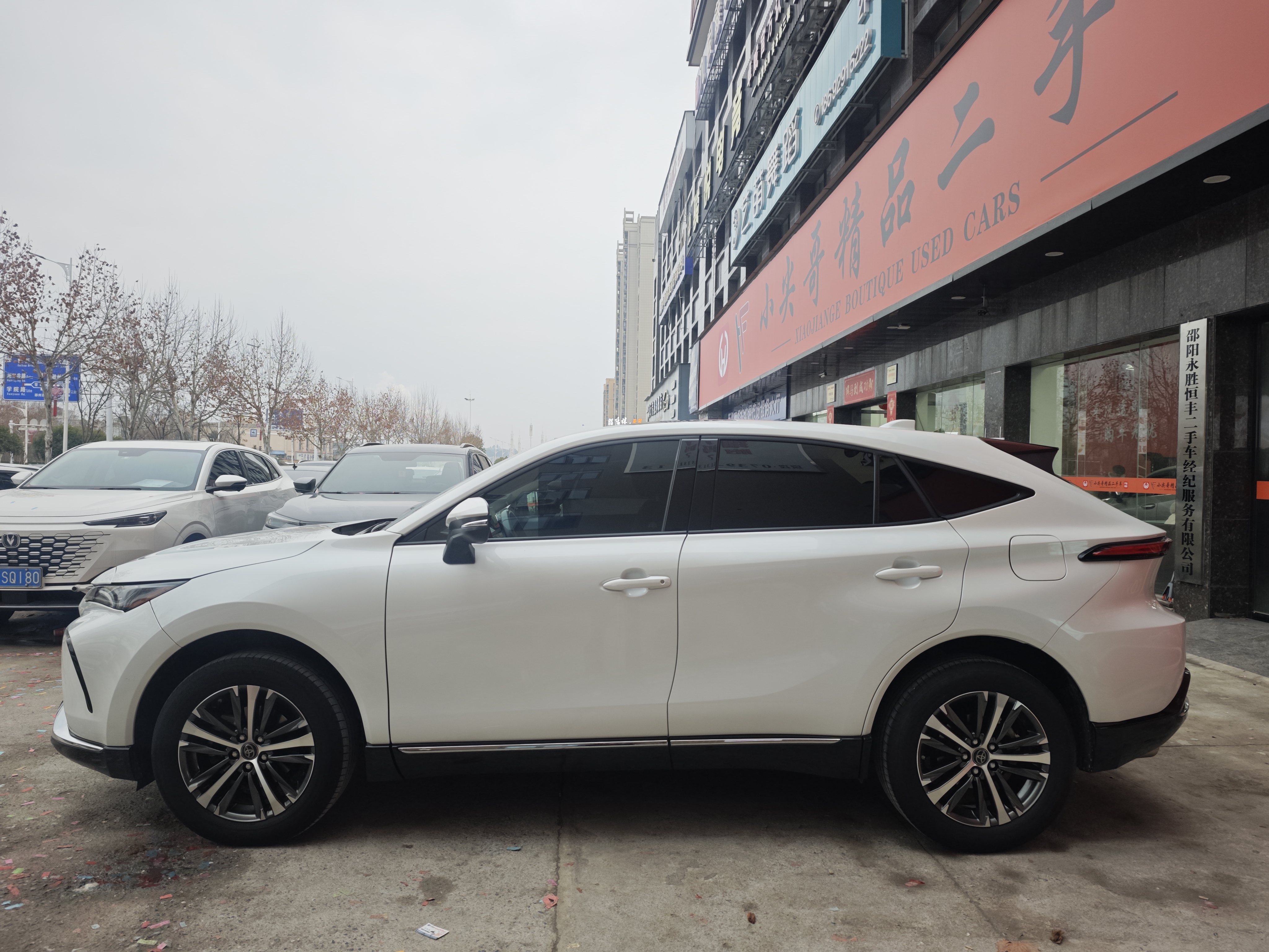 Toyota Venza 2024 immagine di auto #4