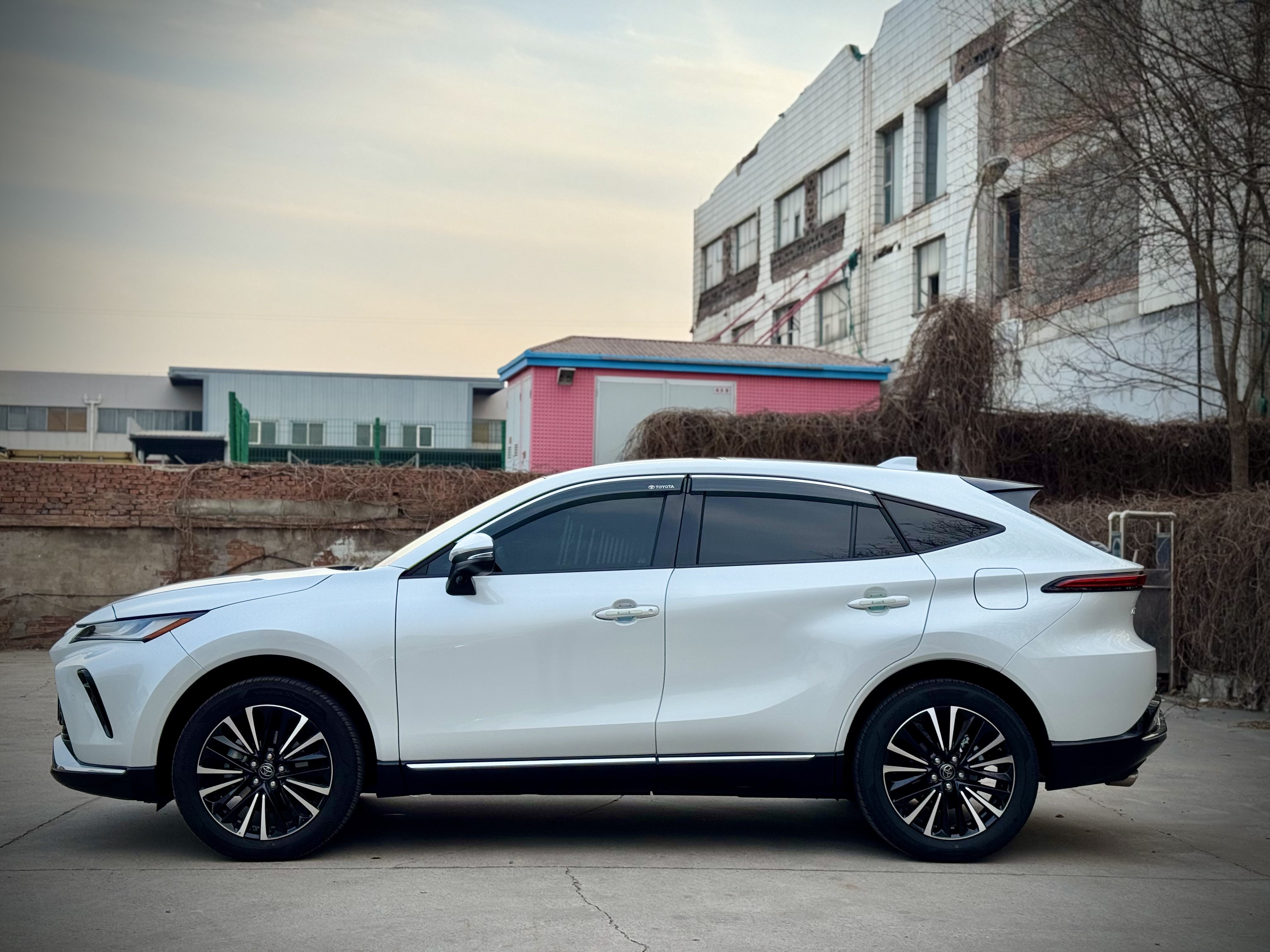 Toyota Venza 2023 car image #4